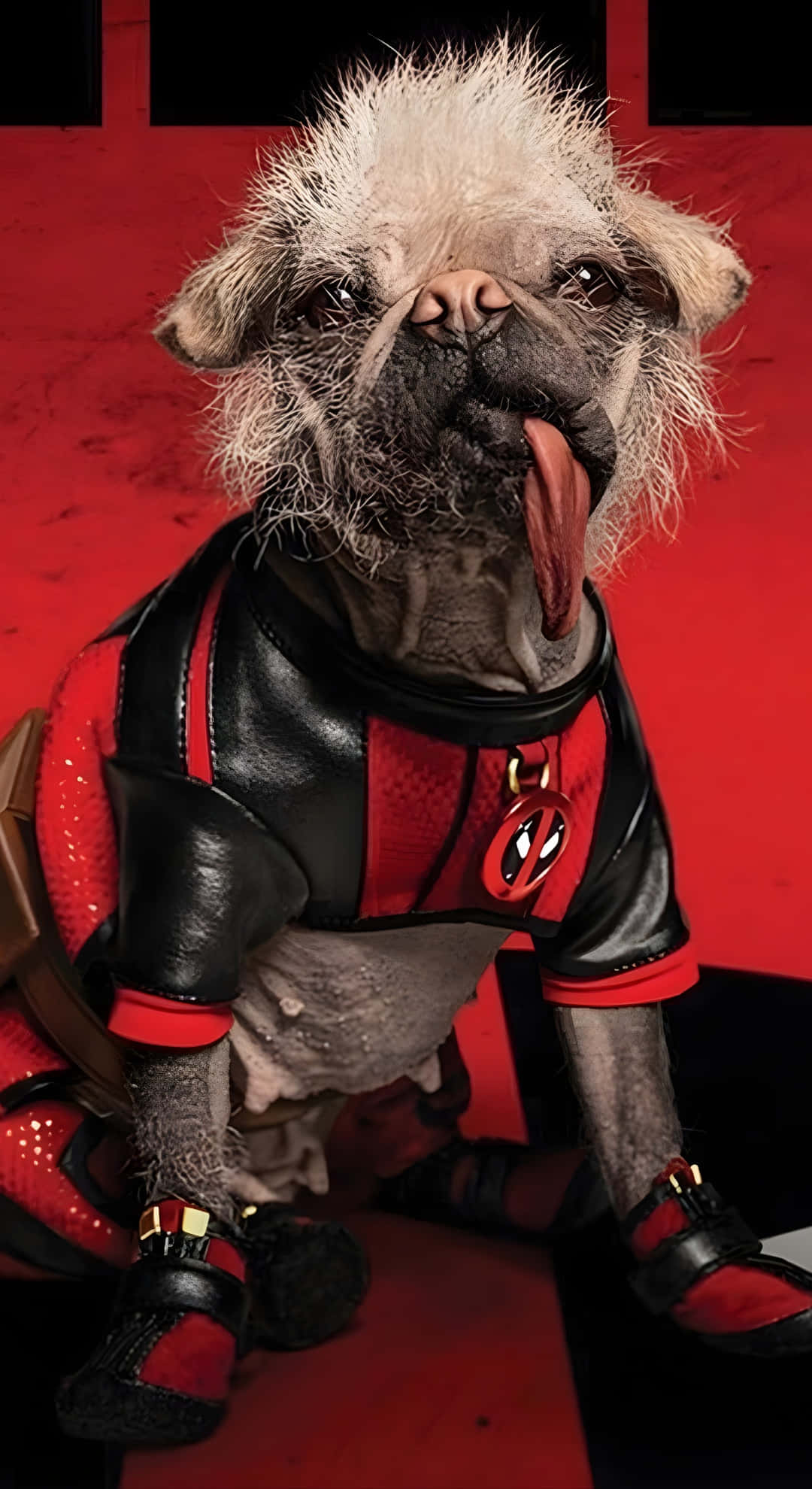 Dogpool, red and black Deadpool costume, scruffy pug, Full HD Phone Wallpaper