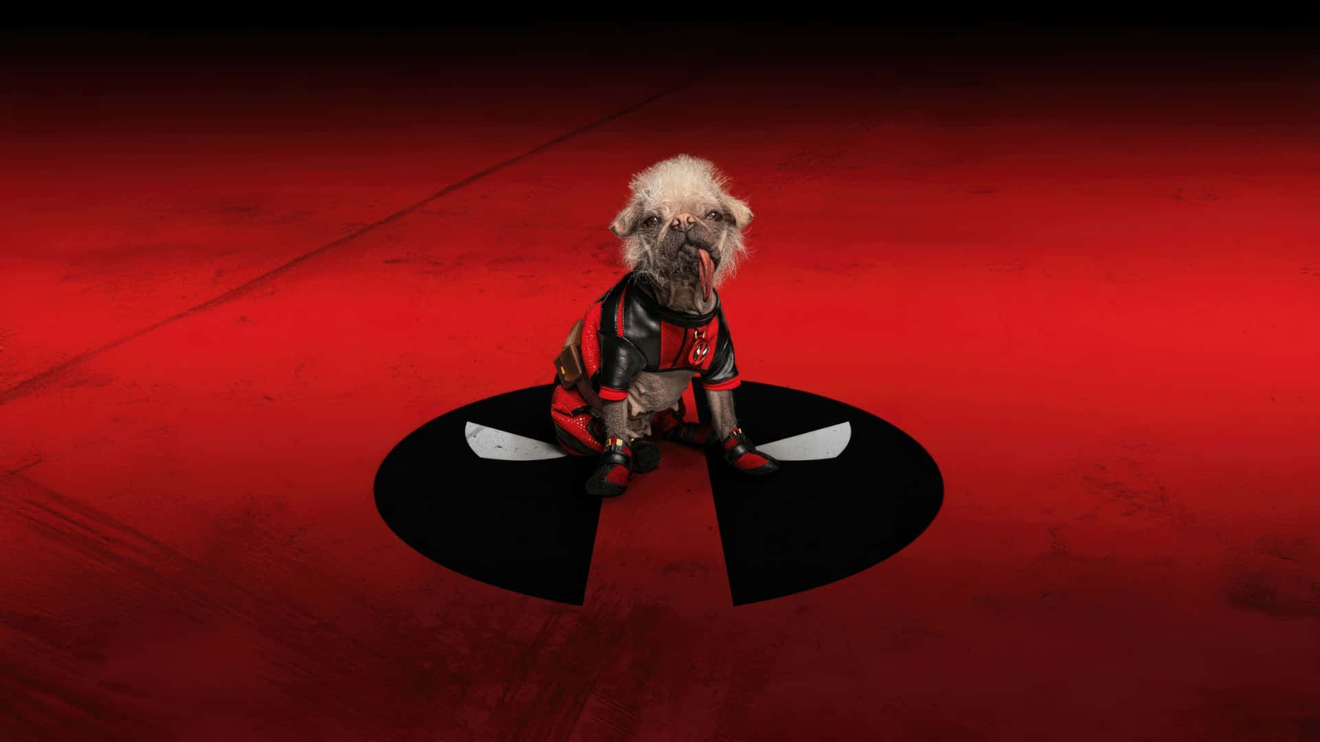Dogpool, red suit, white pug, Full HD Desktop Wallpaper