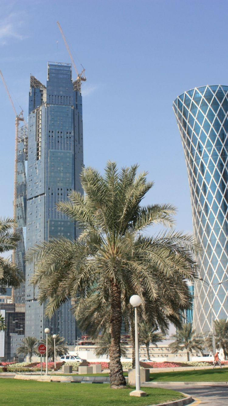 Doha, palm tree, glass skyscrapers, HD Phone Wallpaper