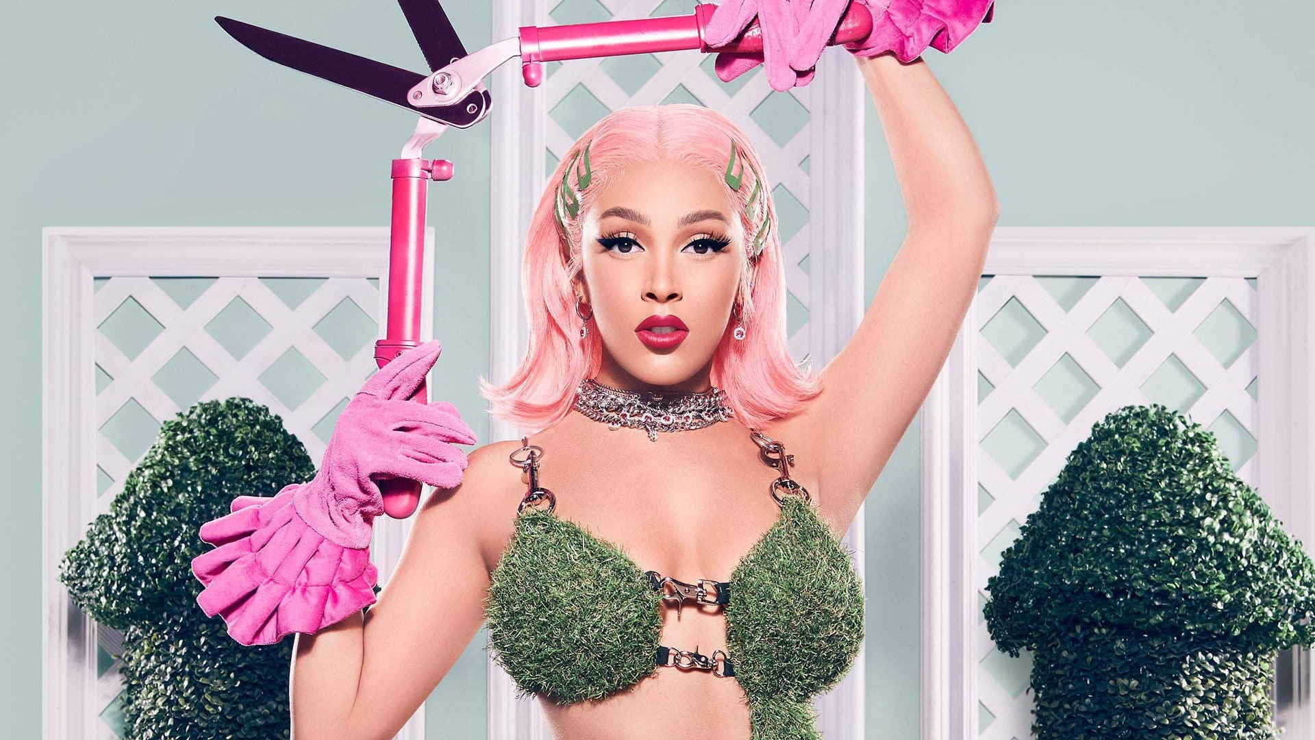 Doja Cat, pink hair, pink gloves, Full HD Desktop Wallpaper