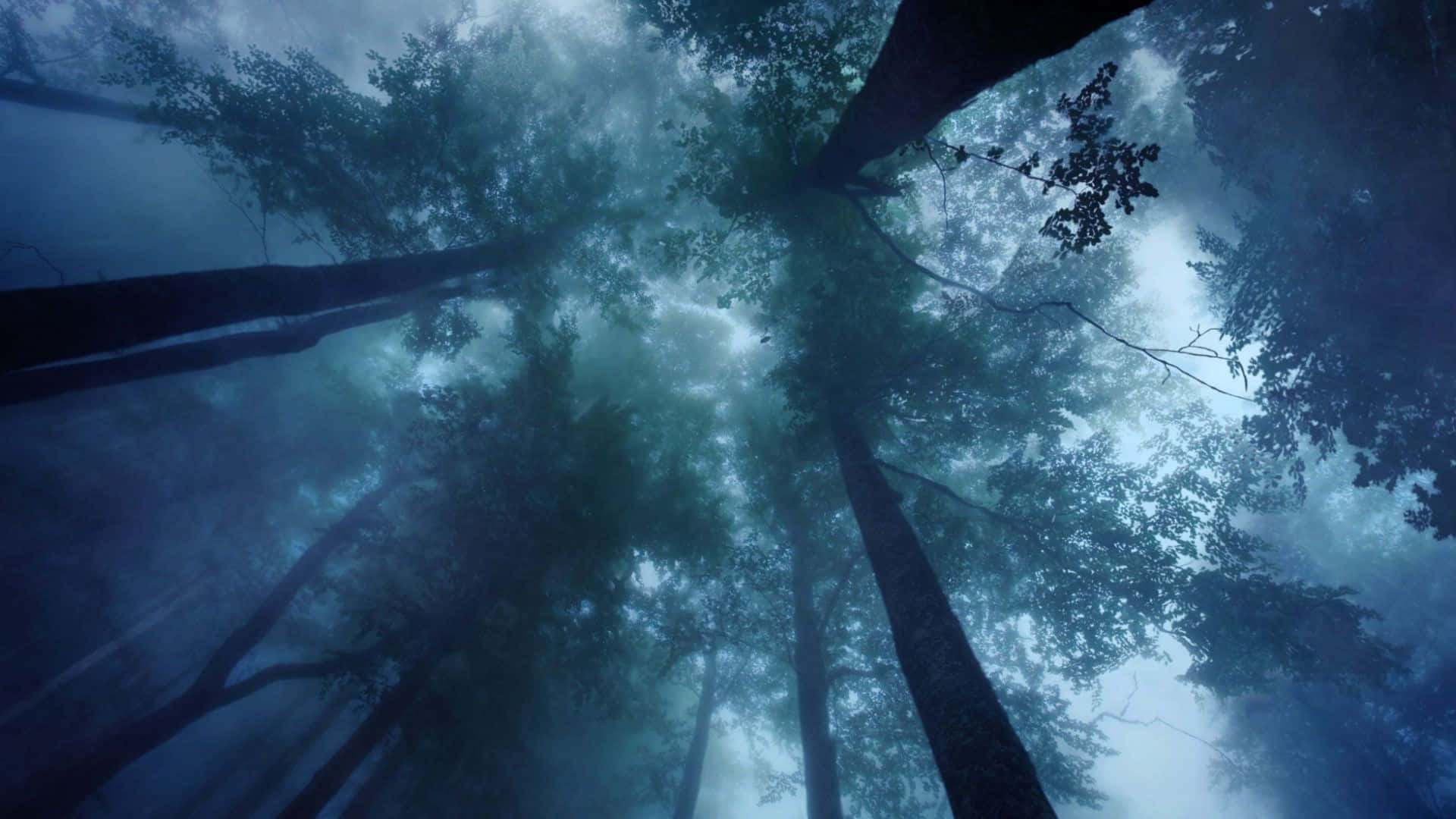Dolby Atmos, 1920 x 1080, blue mist, Full HD Desktop Wallpaper