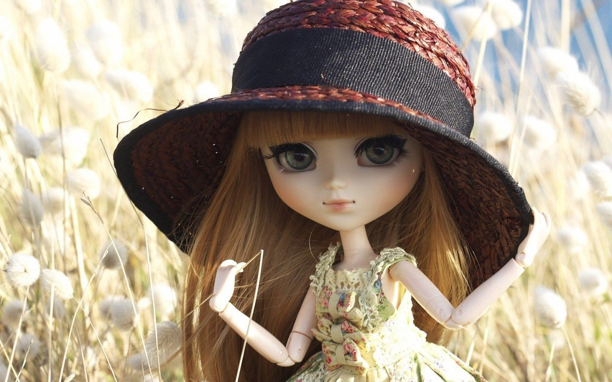 doll, big hat, wide-brimmed hat, Full HD Desktop Wallpaper