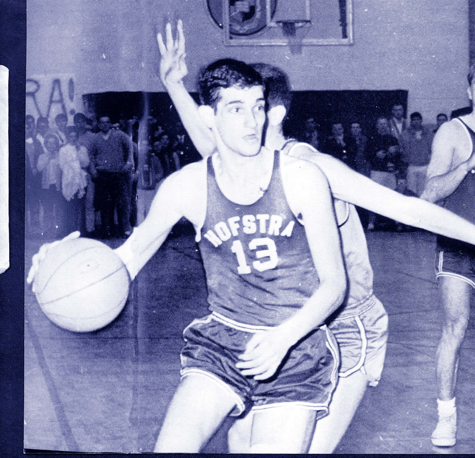 Dolph Schayes, Hofstra basketball player, vintage black and white photo, HD Desktop Wallpaper