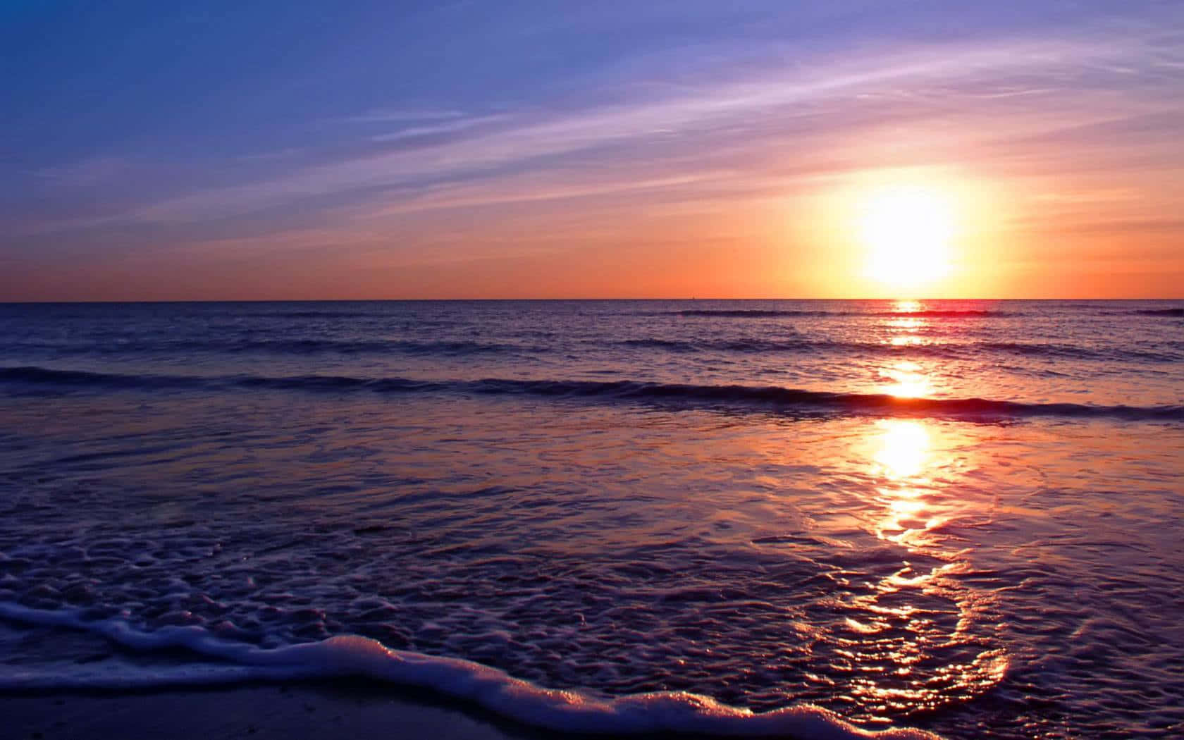 Dolphin Sunset, sunset, ocean, HD Desktop Wallpaper