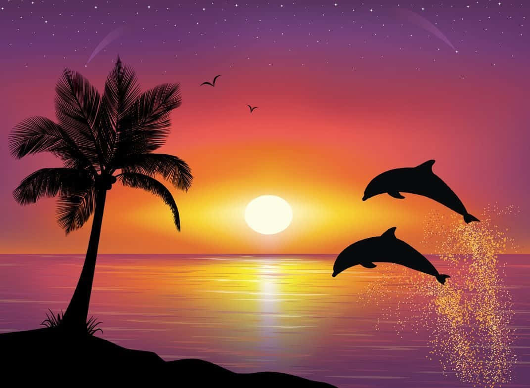 Dolphin Sunset, silhouetted dolphins, glowing ocean, SD Desktop Wallpaper