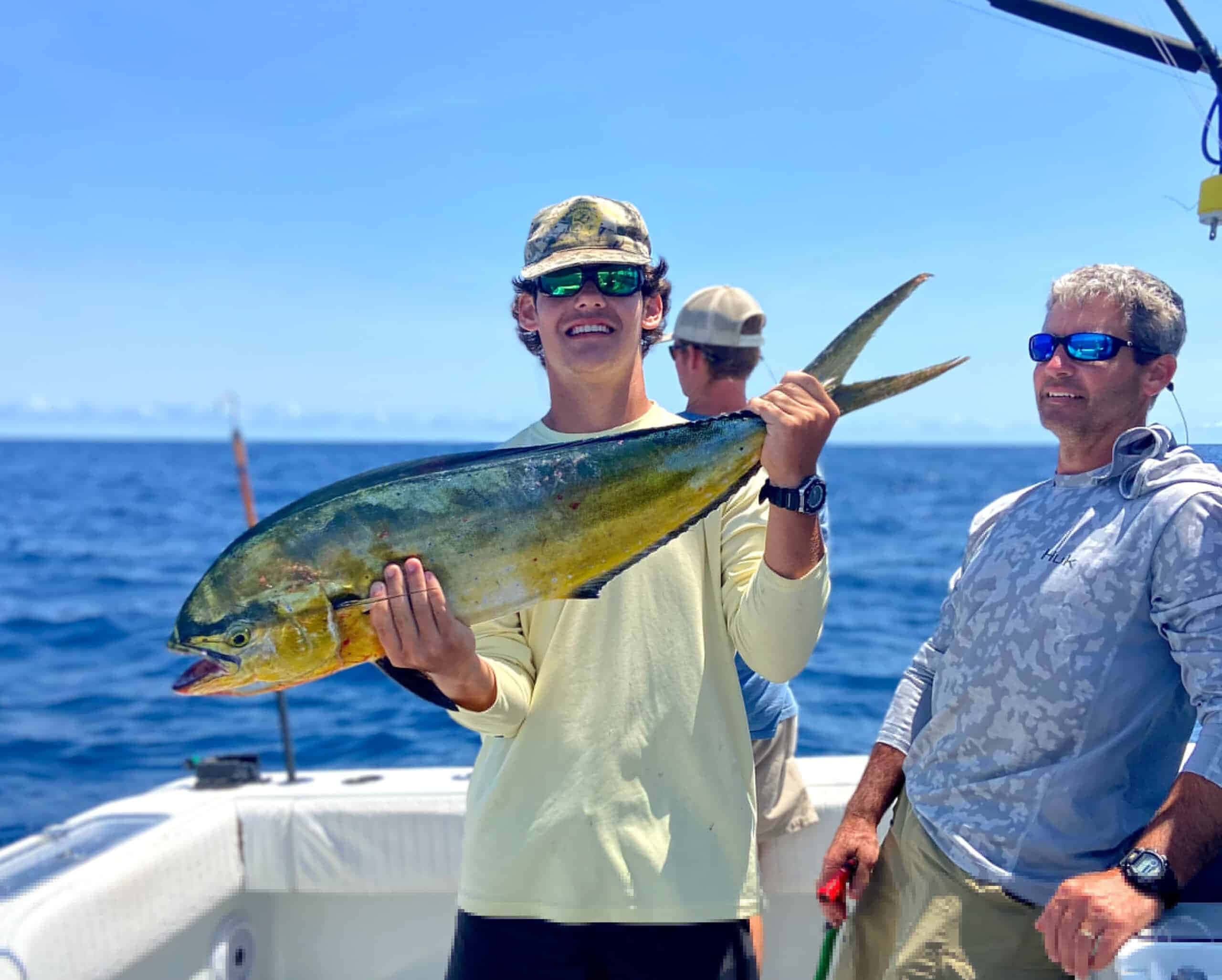 Dolphinfish, yellow dolphin fish, sunny boat, 2K Desktop Wallpaper