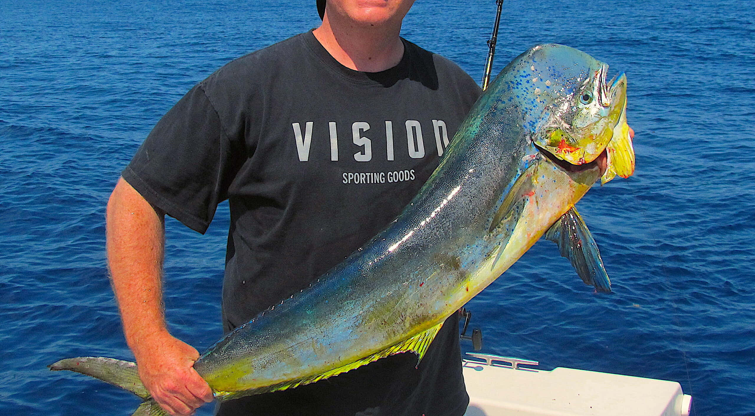 angler, dolphinfish, iridescent dorado, 2K Desktop Wallpaper