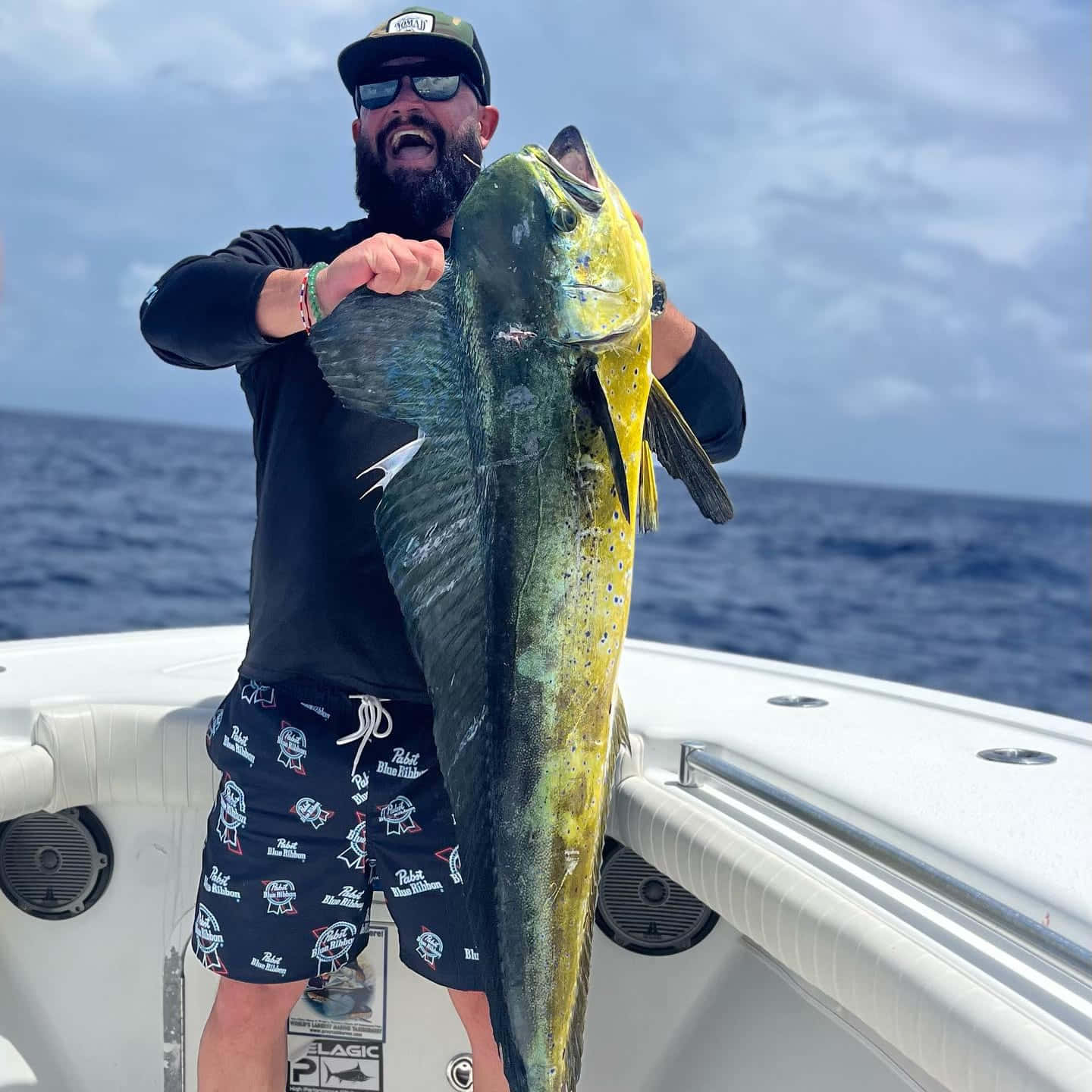 angler, dolphinfish, yellow and green mahi mahi, HD Desktop Wallpaper