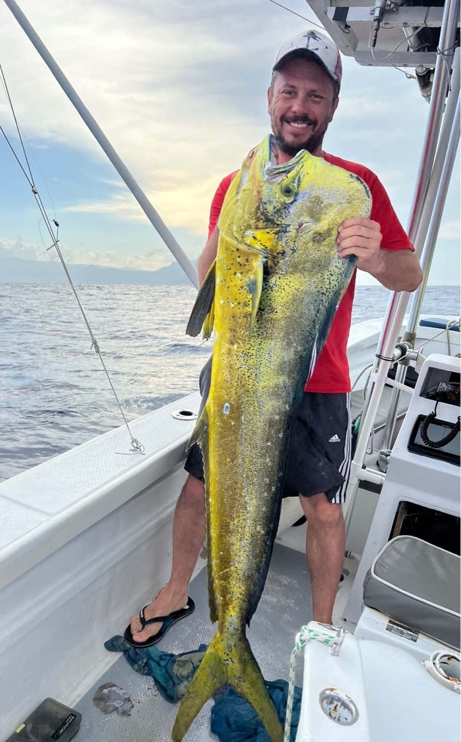 Anglerwith, dolphinfish, red shirt, HD Phone Wallpaper
