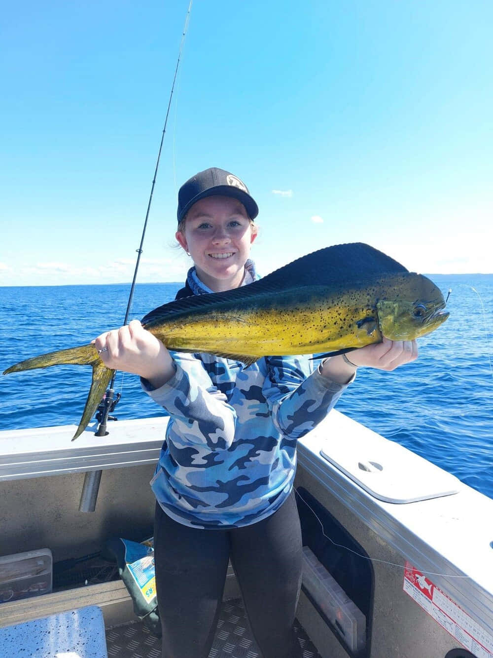dolphinfish, mahi mahi, sunny boat, HD Phone Wallpaper