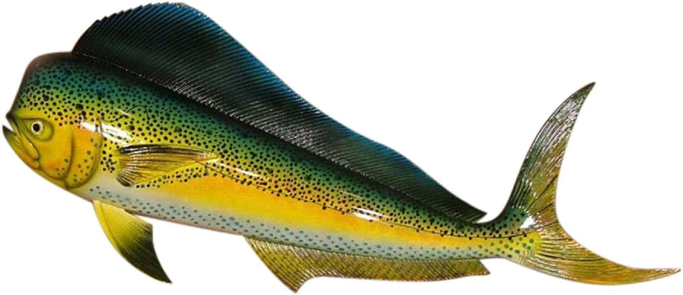 dolphinfish, iridescent blue green back, yellow belly, HD Desktop Wallpaper