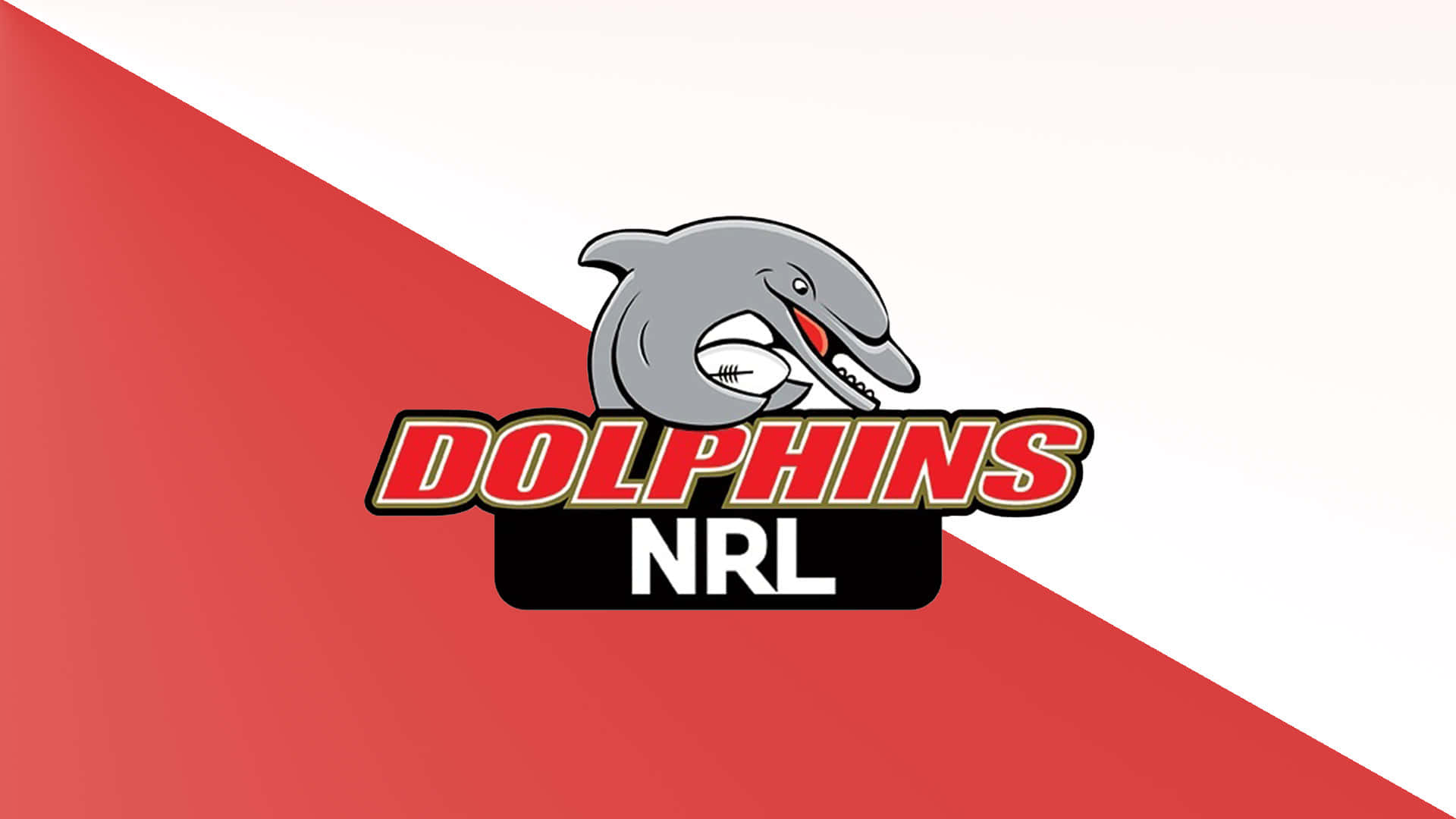 Dolphins Nrl, cartoon dolphin logo, football, Full HD Desktop Wallpaper