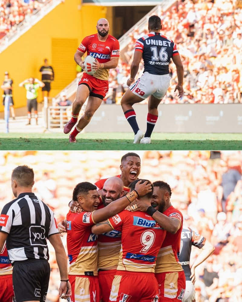 Dolphins Nrl, red, rugby league player, SD Phone Wallpaper