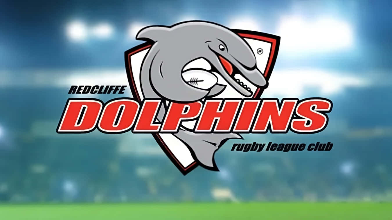 Dolphins NRL, rugby ball, shield logo, HD Desktop Wallpaper