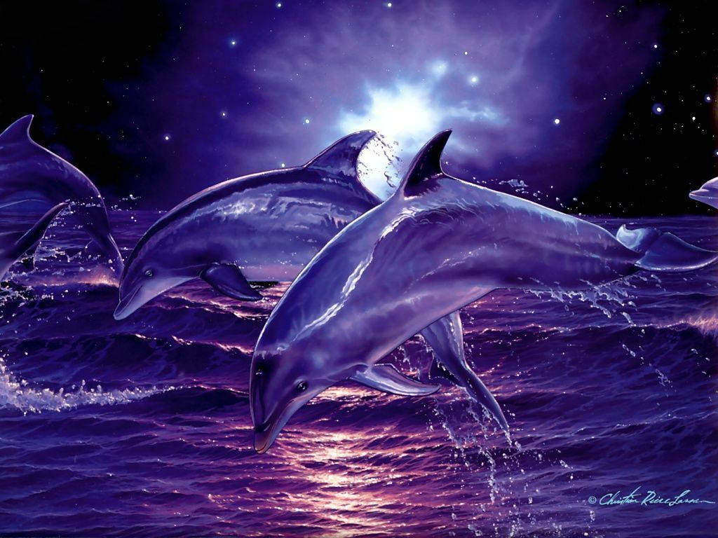 Purple Night Dolphins, glowing purple waves, starry cosmic sky, SD Desktop Wallpaper
