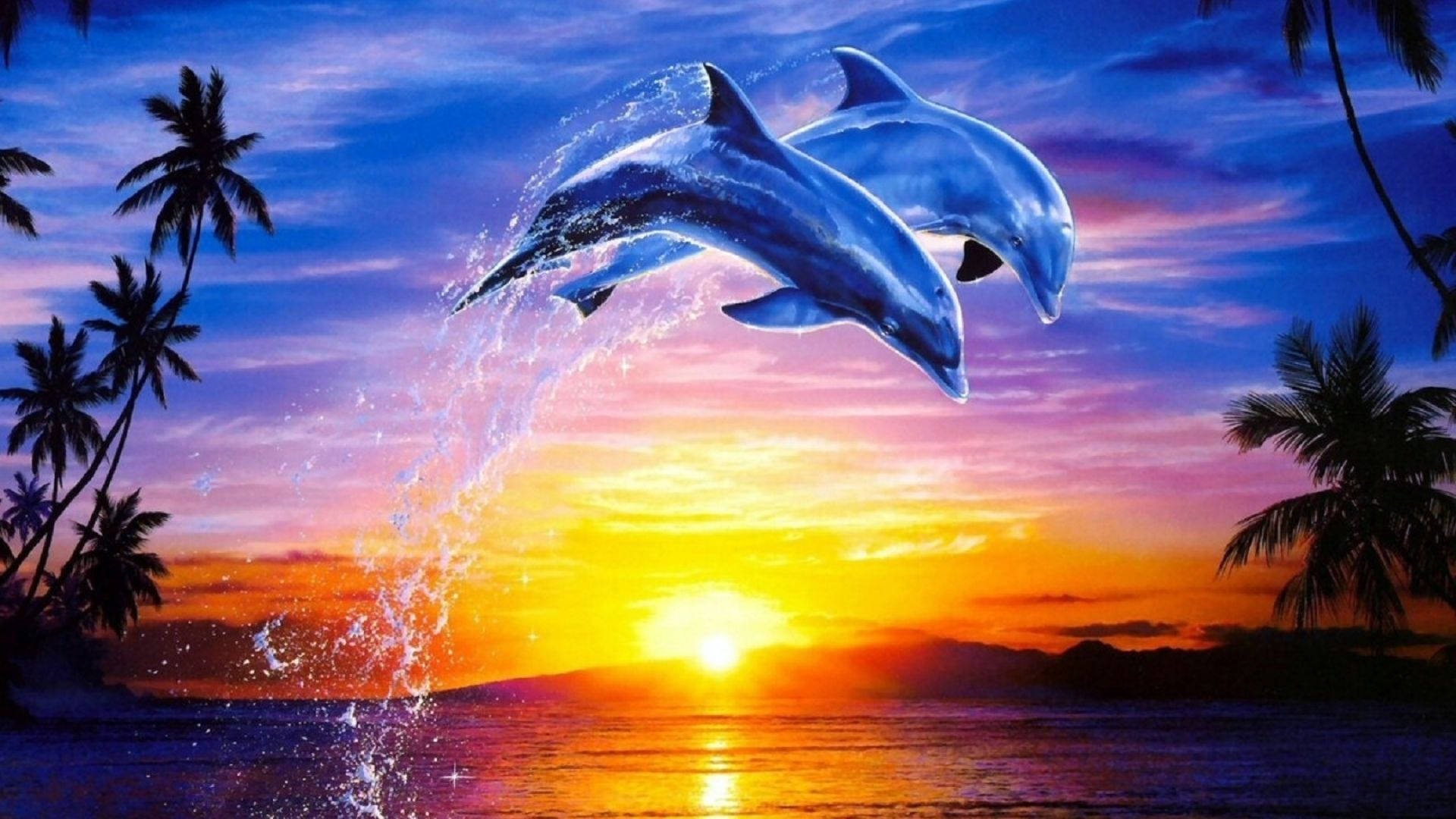 leaping dolphins, sunset, tropical ocean, Full HD Desktop Wallpaper