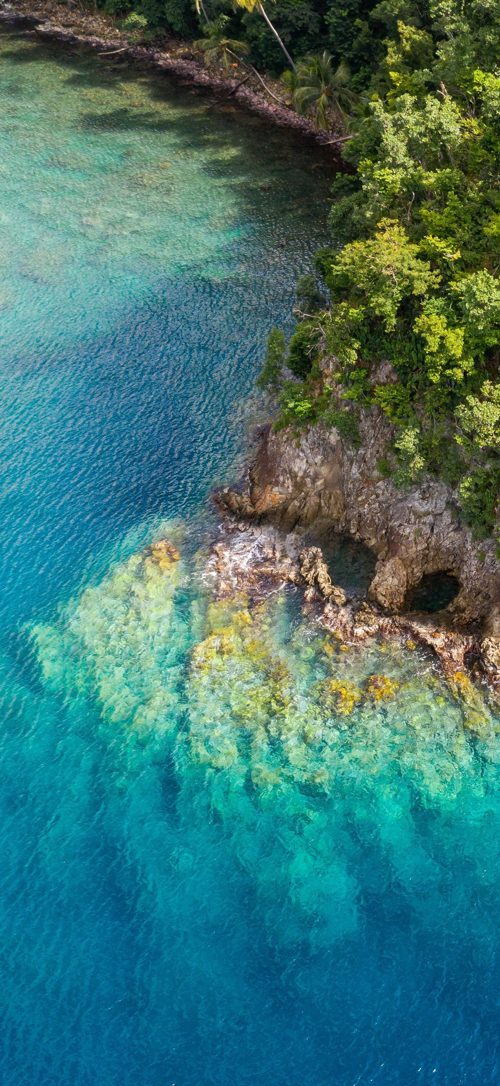 Dominica, turquoise ocean water, lush green jungle coastline, 2K Phone Wallpaper
