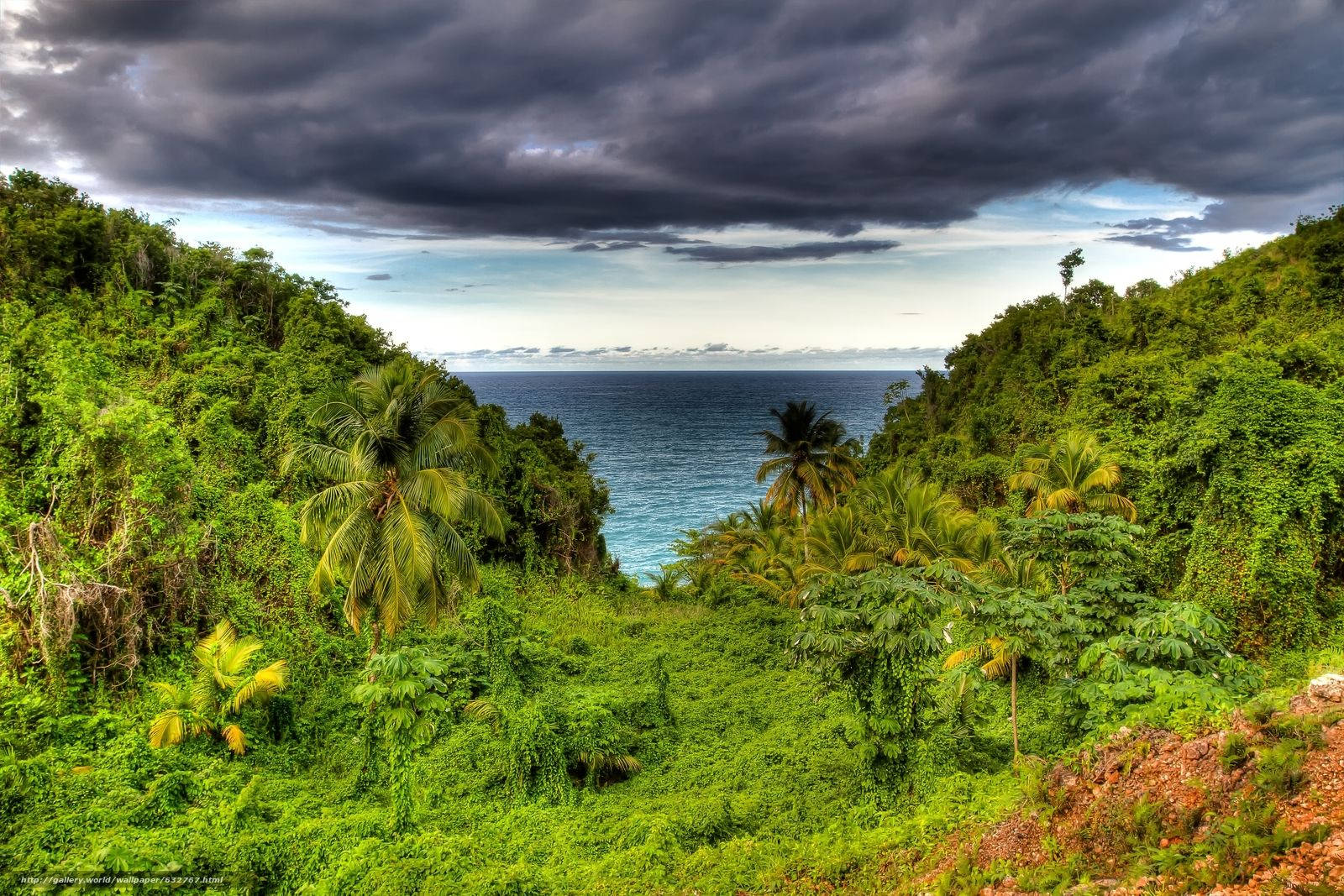 Dominica, island, rainforest, HD Desktop Wallpaper