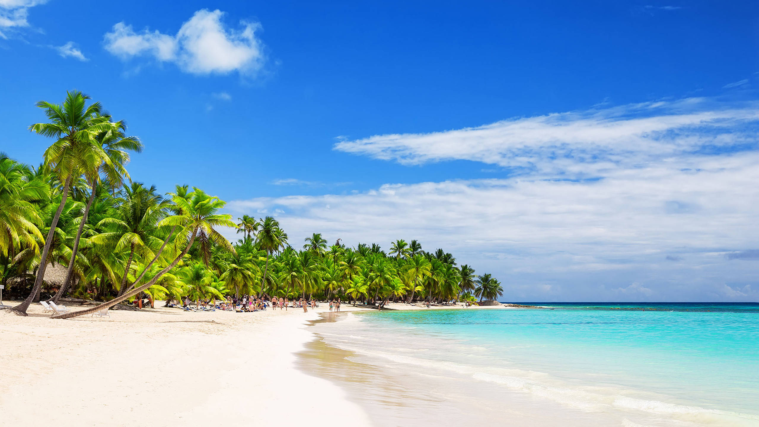 Dominica, white sand beach, turquoise water, 2K Desktop Wallpaper