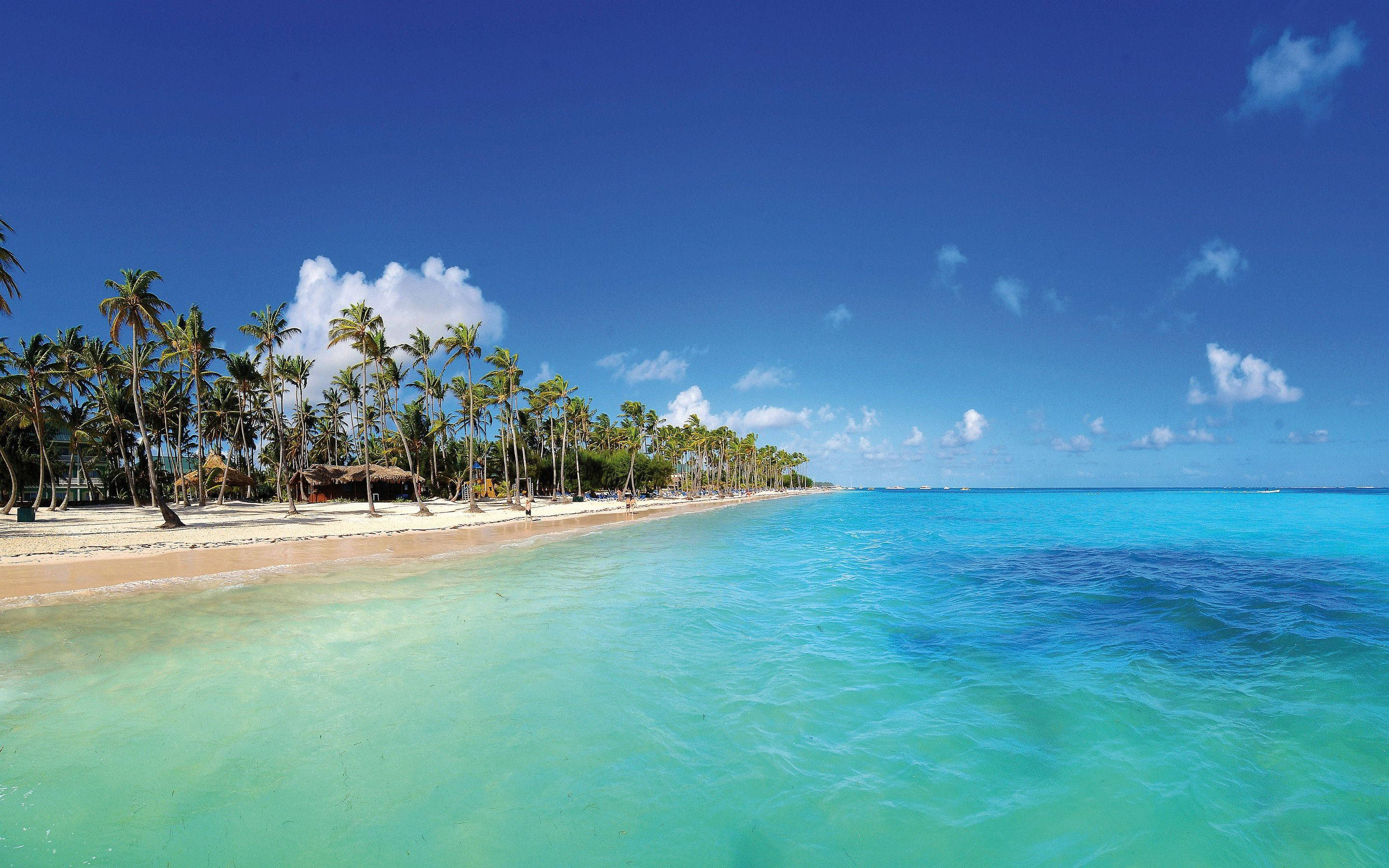Dominica, blue beach, turquoise waters, 2K Desktop Wallpaper
