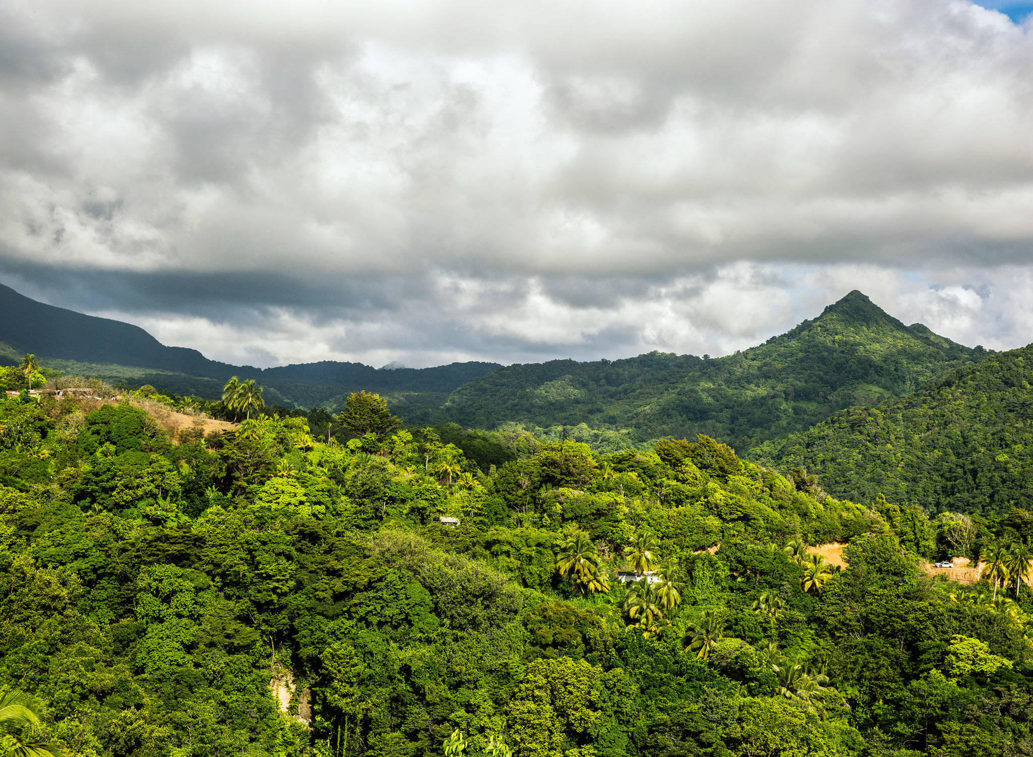 Dominica, rainforest, lush green mountains, Full HD Desktop Wallpaper