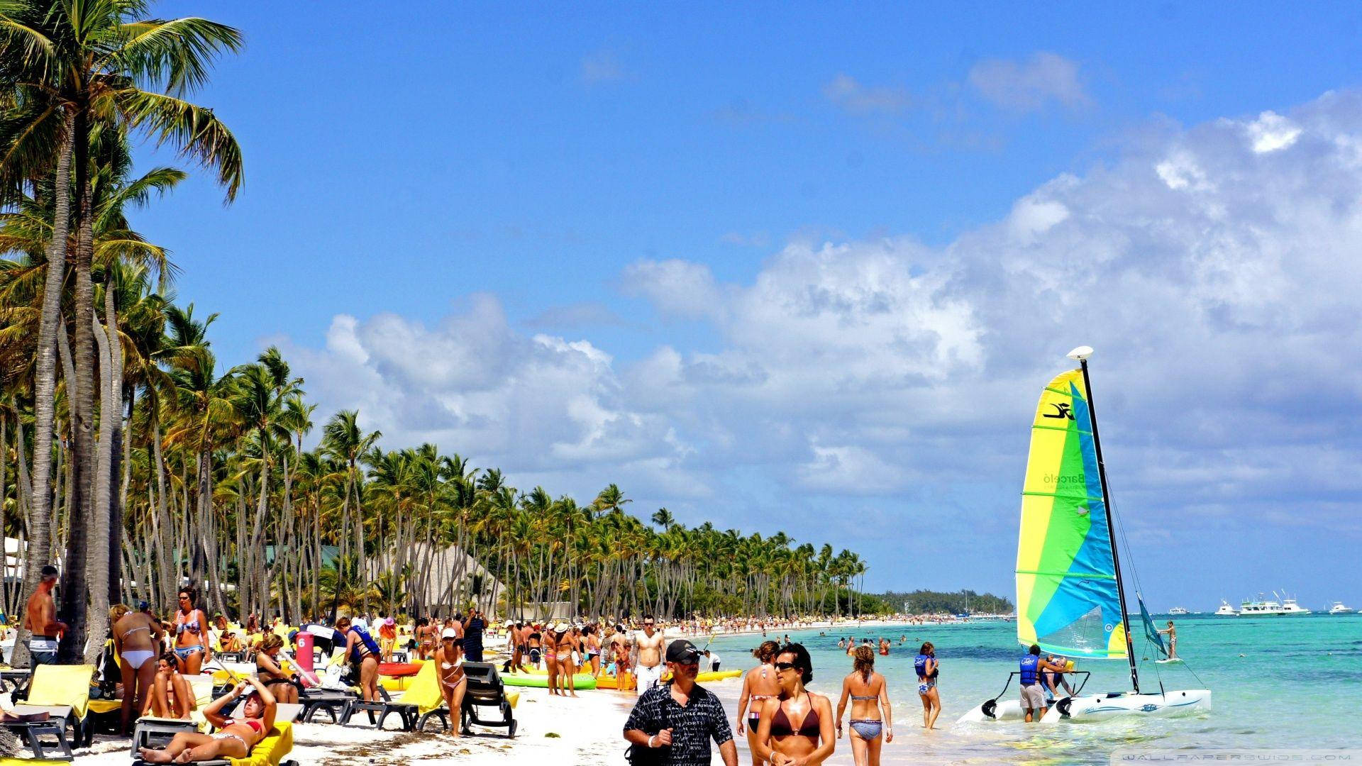 Dominican Republic, tropical beach scene, palm trees, Full HD Desktop Wallpaper