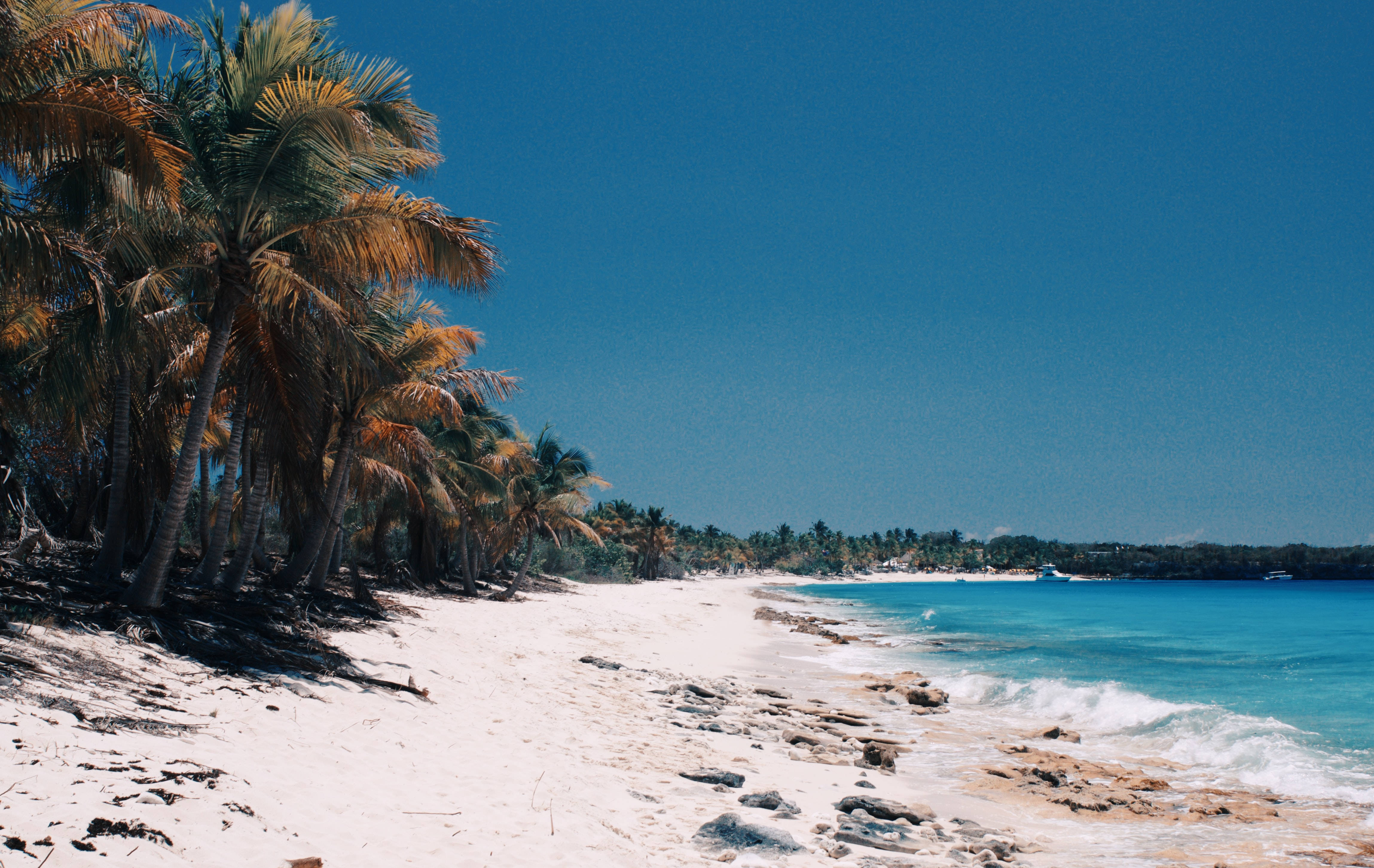 Dominican Republic, white sandy beach, palm trees, 4K Desktop Wallpaper