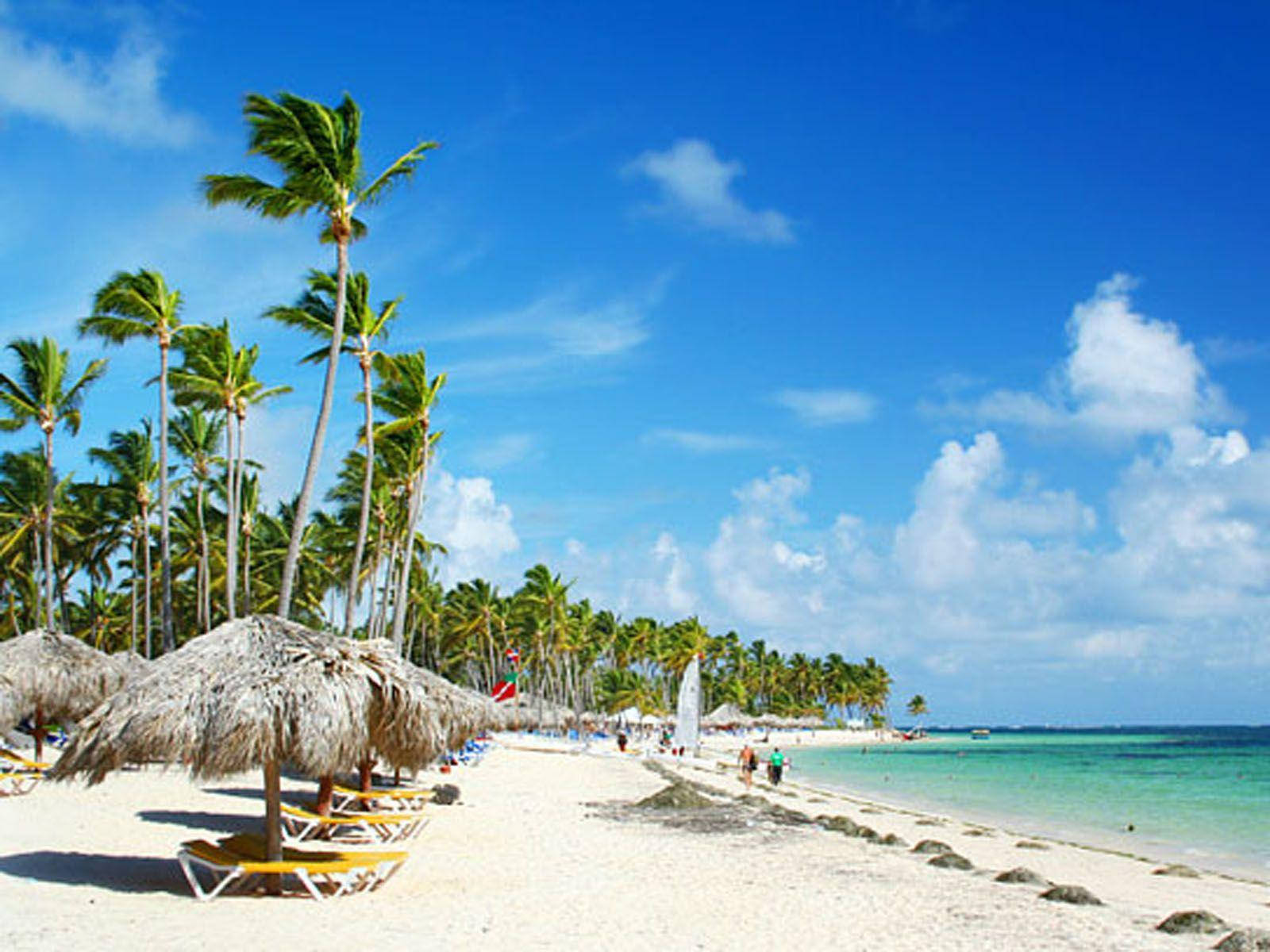 Dominican Republic, palm trees, white sand, HD Desktop Wallpaper
