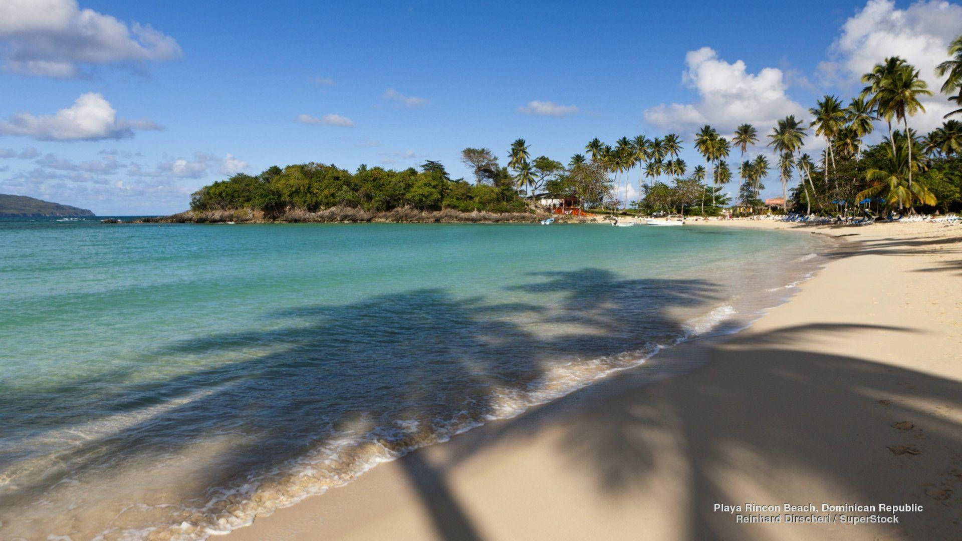 Dominican Republic, palm tree shadows, turquoise water, Full HD Desktop Wallpaper