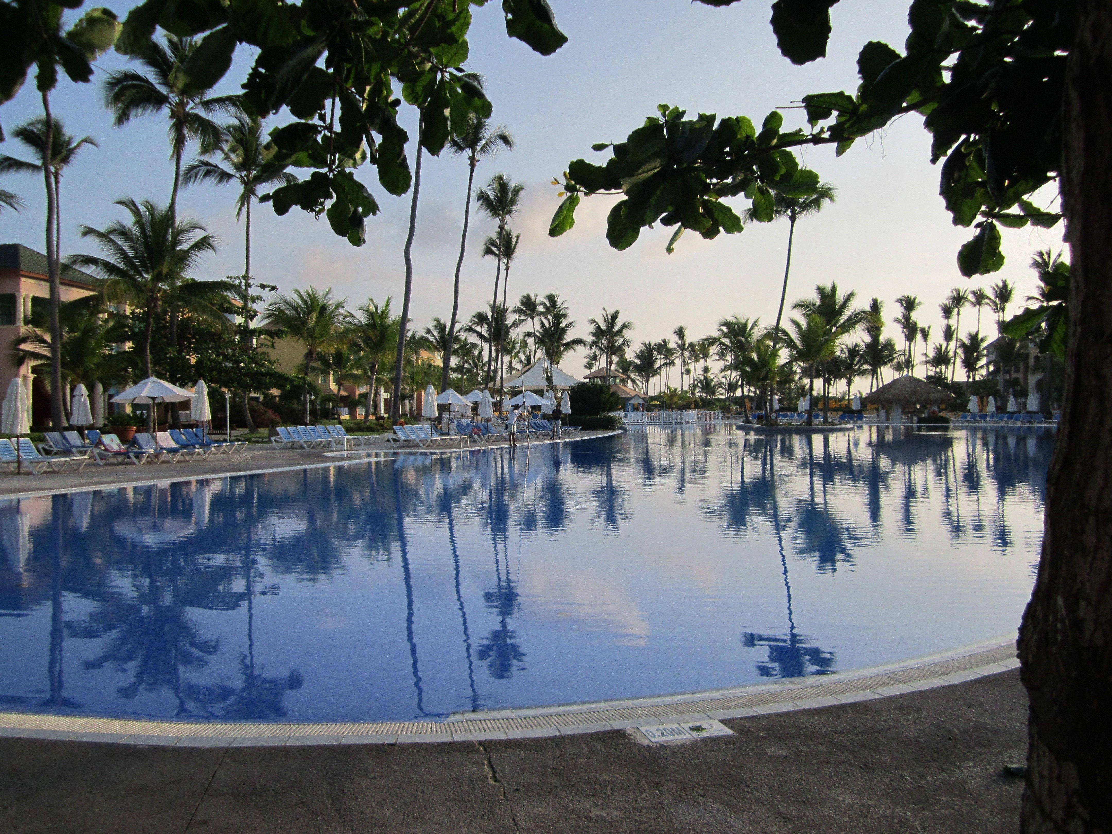 Dominican Republic, hotel swimming pool, lush palm trees, 4K Desktop Wallpaper