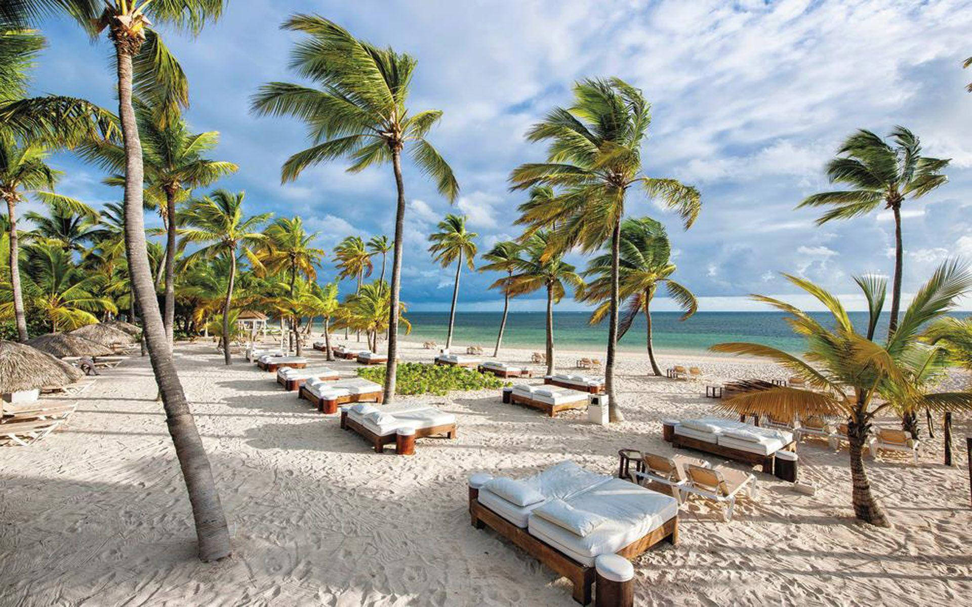 Dominican Republic, palm beach, palm trees, Full HD Desktop Wallpaper