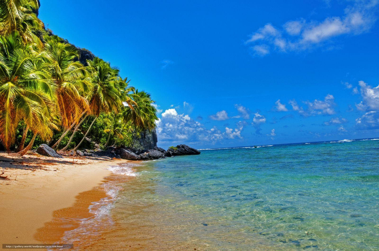 Dominican Republic, beach, golden sand, HD Desktop Wallpaper