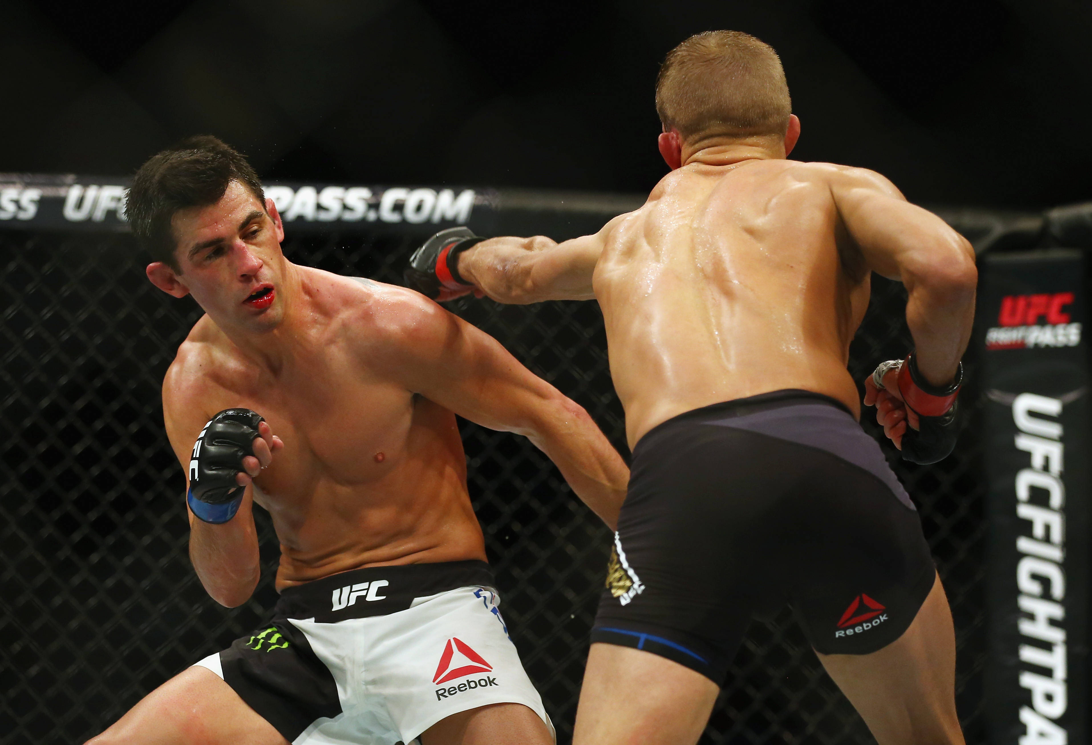 Dominick Cruz, bantamweight champion, MMA fighters, 2K Desktop Wallpaper