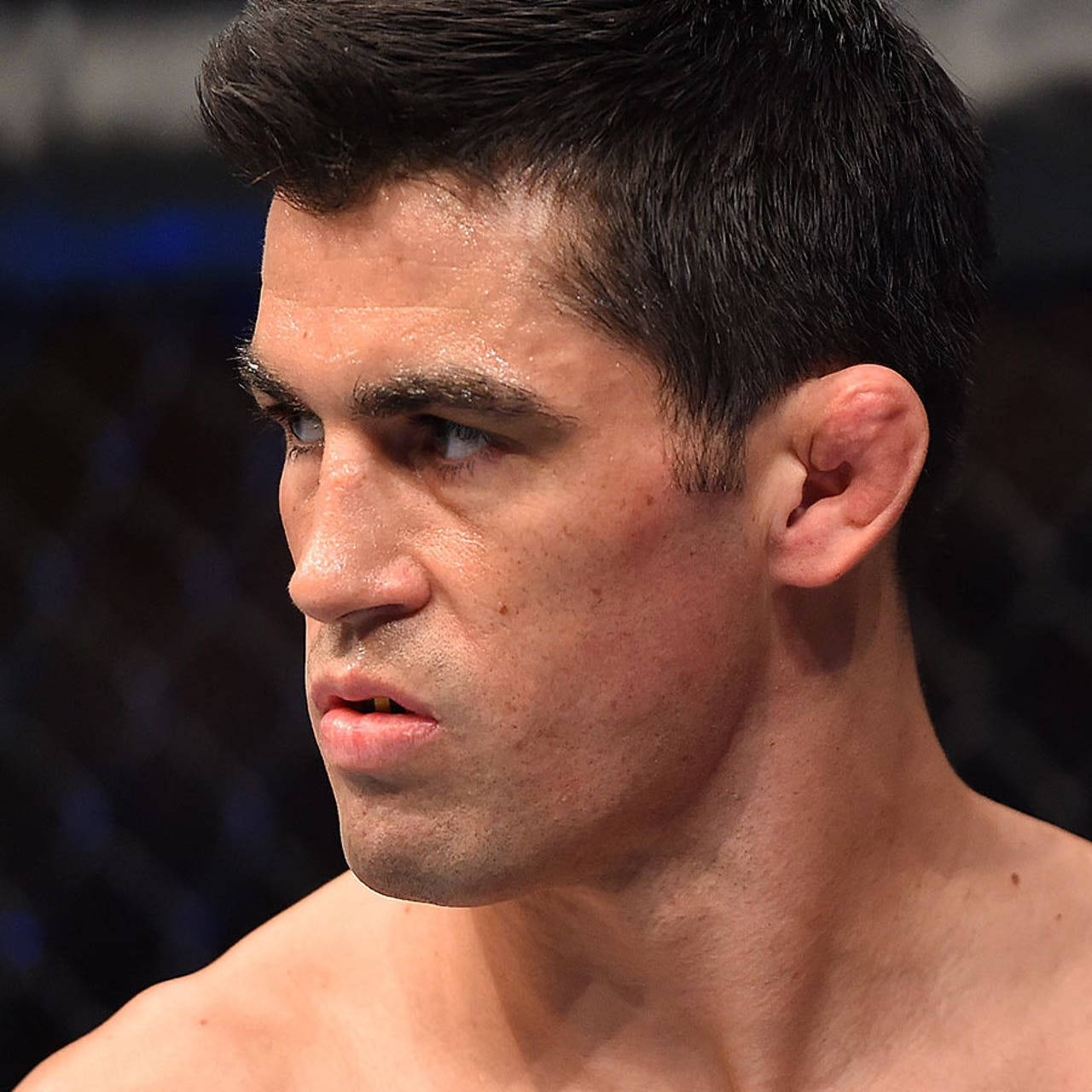 Dominick Cruz, octagon, sweat, HD Desktop Wallpaper