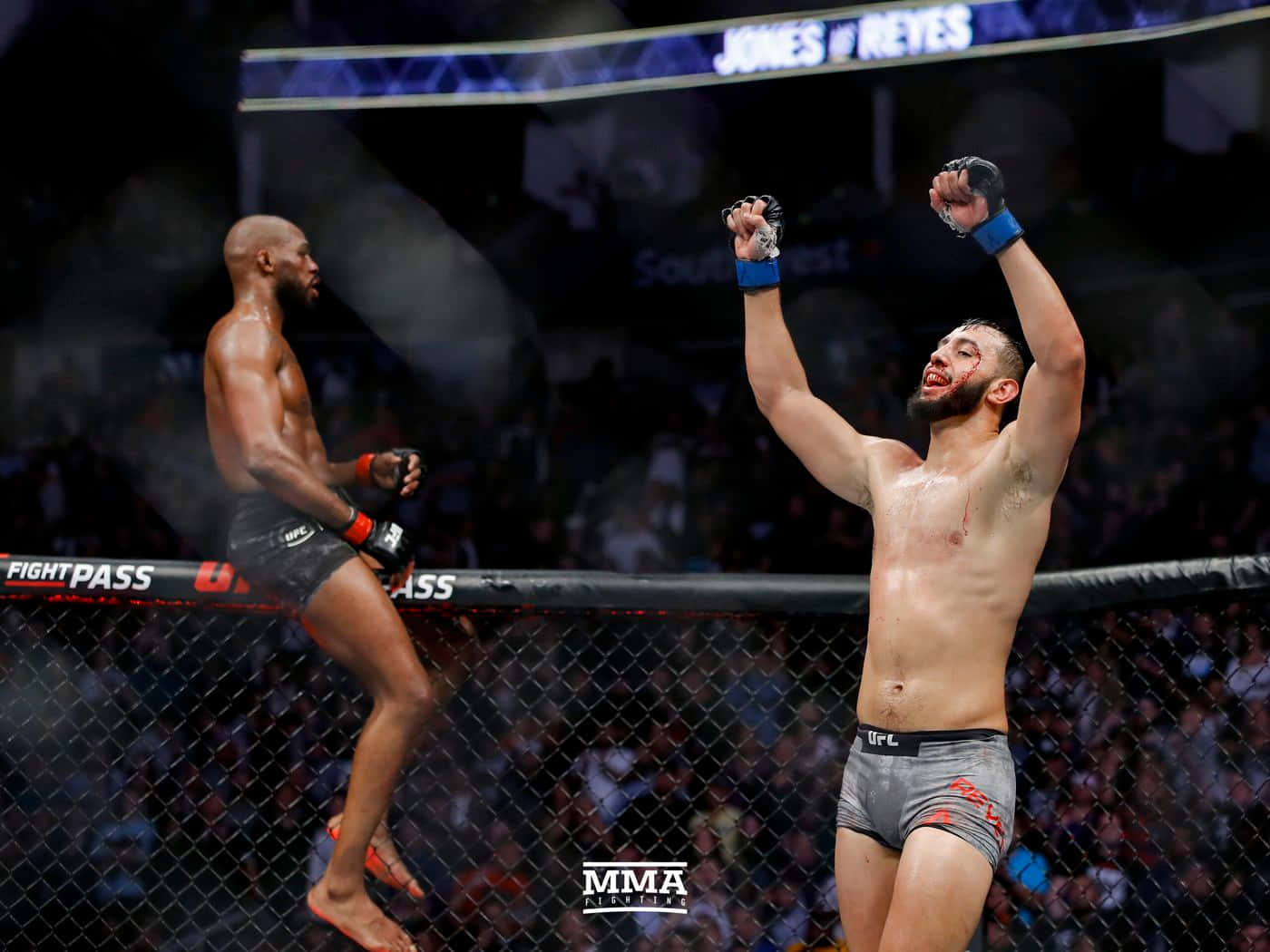 Dominick Reyes, MMA fighter, octagon, HD Desktop Wallpaper