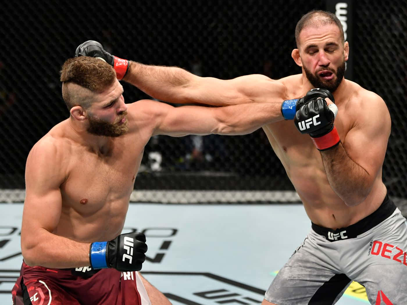 Dominick Reyes, cage match, MMA fighters, HD Desktop Wallpaper