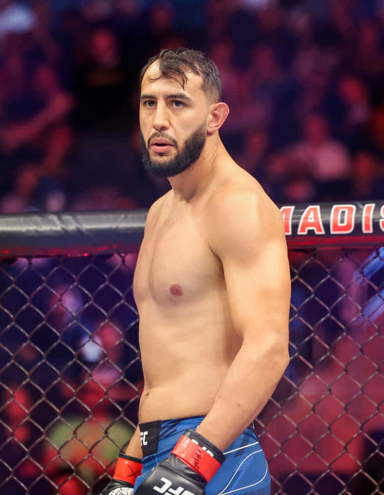 Dominick Reyes, octagon cage, blue shorts, SD Phone Wallpaper