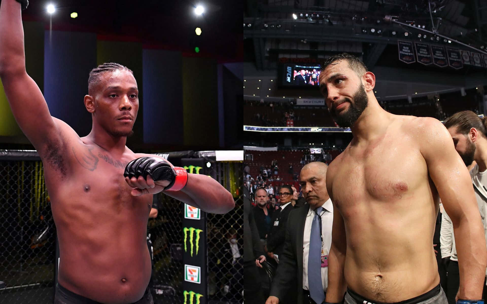 Dominick Reyes, cage, mixed martial arts bout, Full HD Desktop Wallpaper
