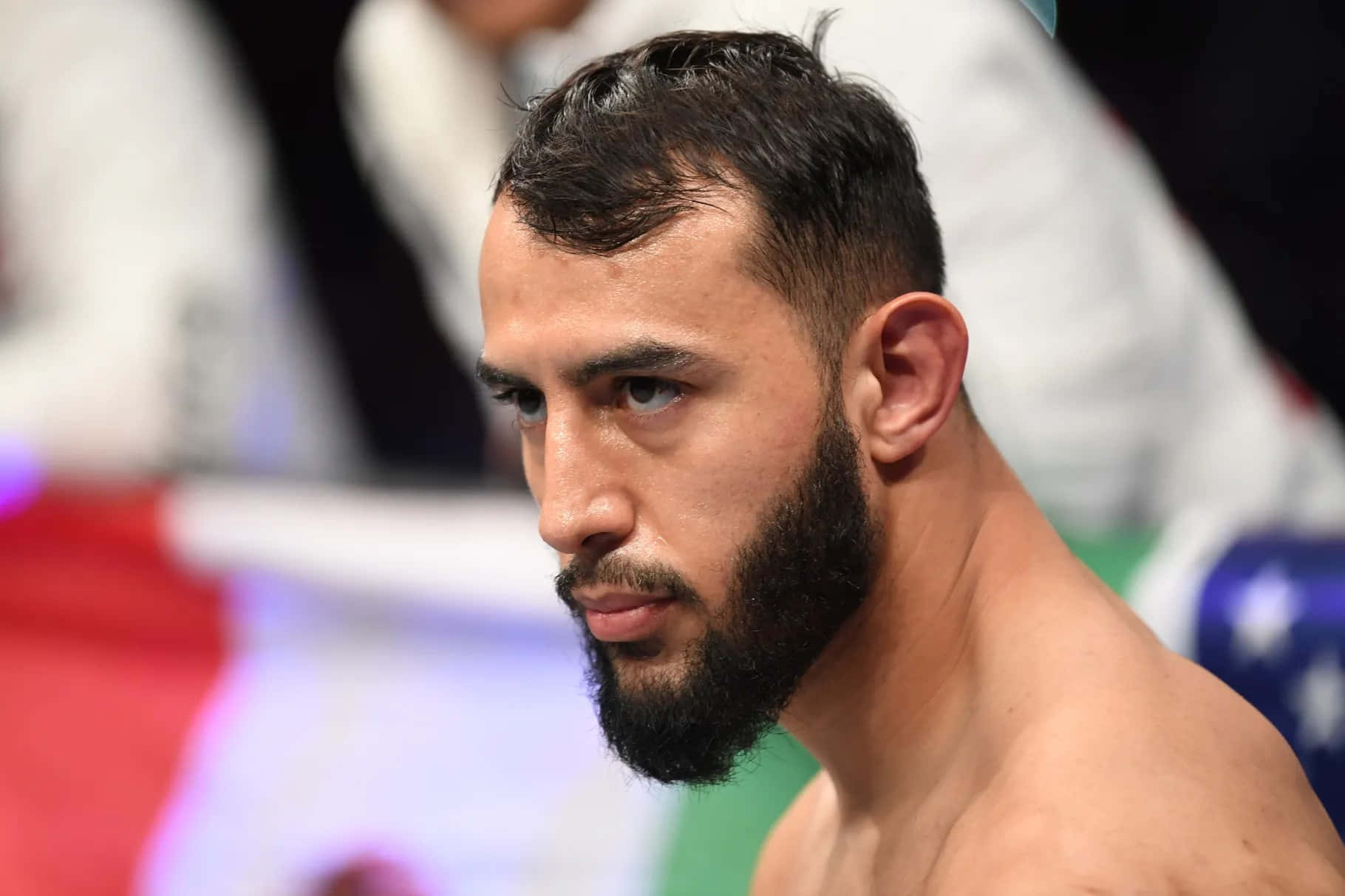 Dominick Reyes, MMA Fighter Profile, brightly lit arena, HD Desktop Wallpaper