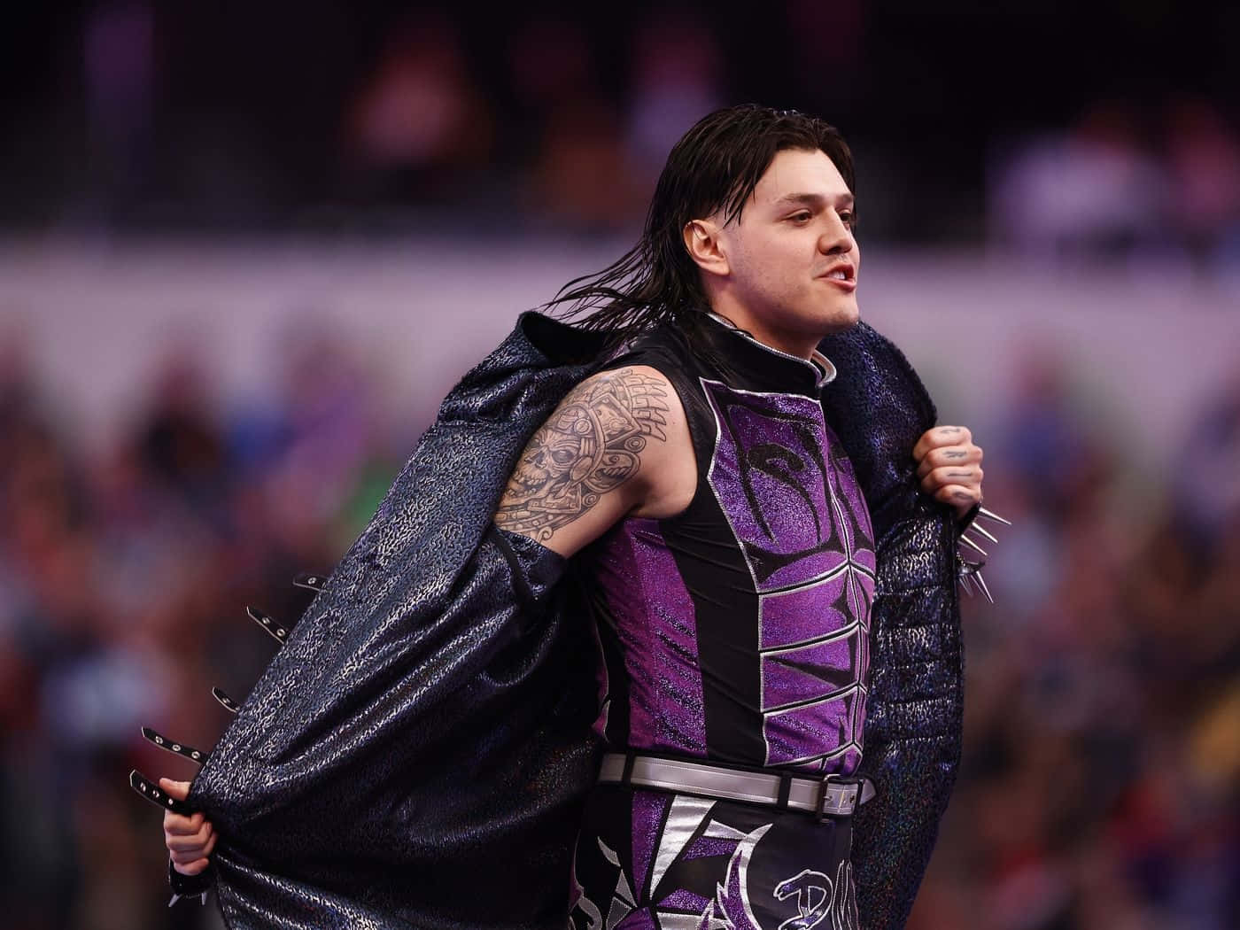 Dominik Mysterio, purple and black outfit, spiked jacket, HD Desktop Wallpaper