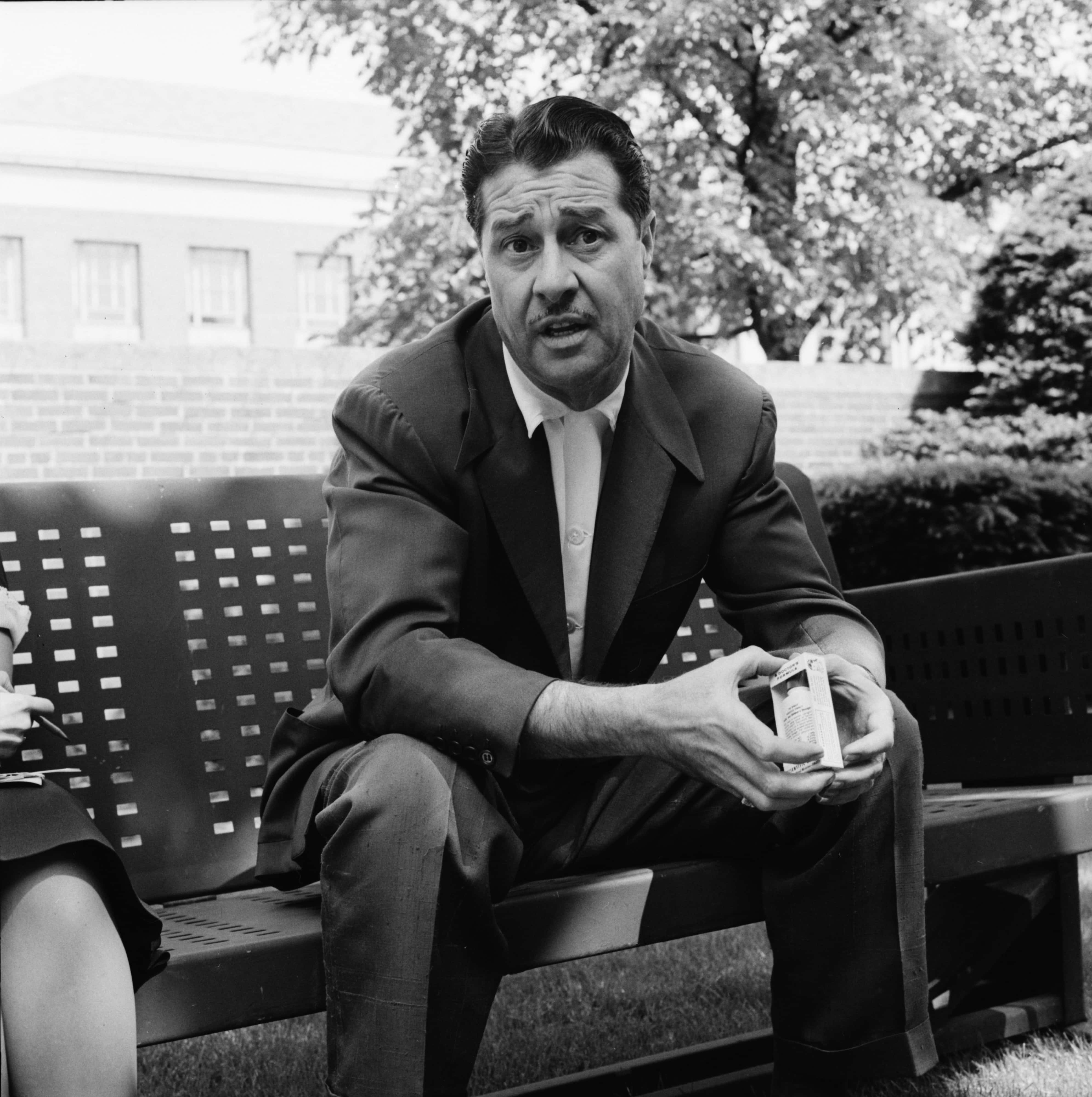 Don Ameche, suit, bench, 4K Phone Wallpaper