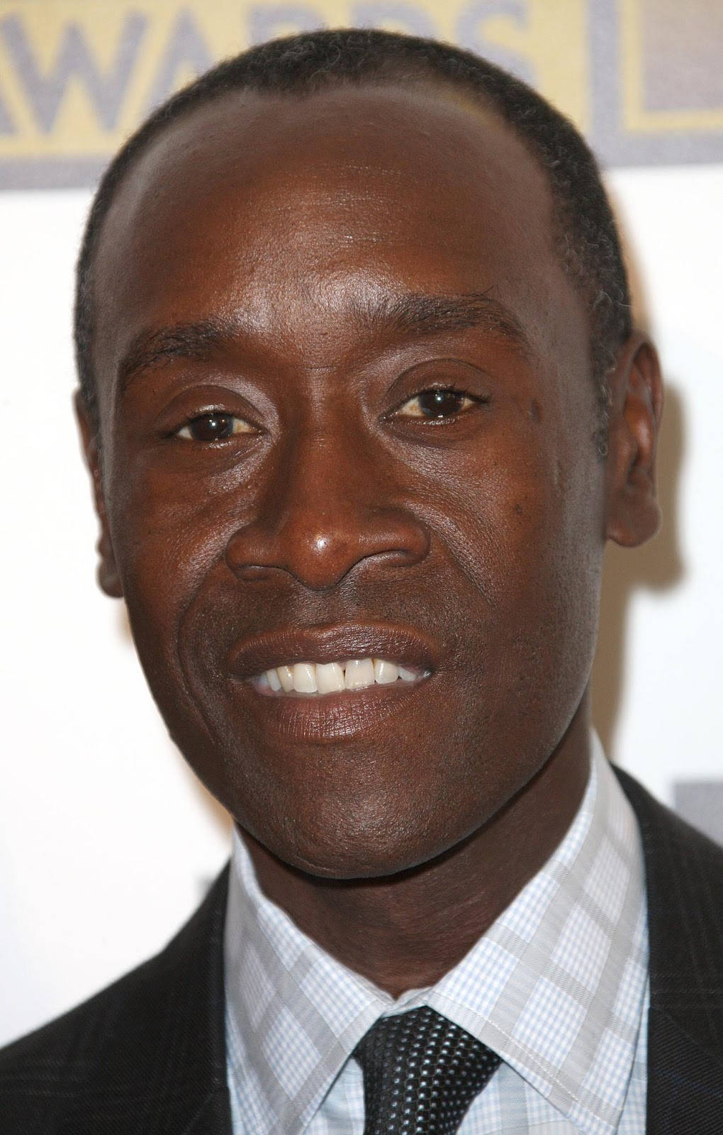 Don Cheadle, suit and tie, awards event, HD Phone Wallpaper