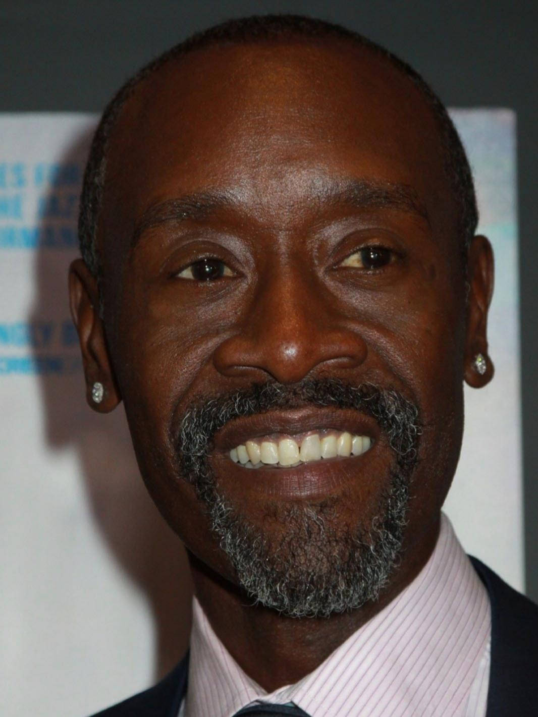 Don Cheadle, graying beard, diamond stud earrings, HD Phone Wallpaper