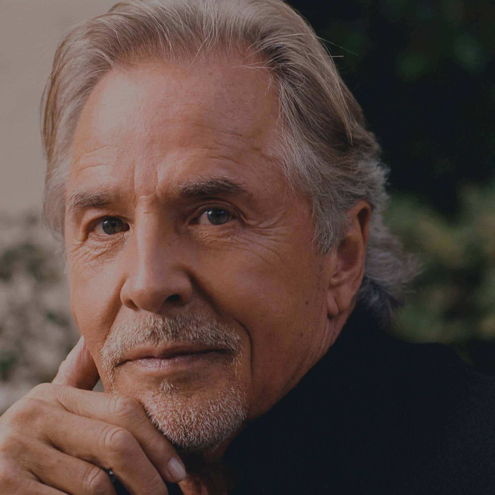 Don Johnson, gray hair, beard, HD Desktop Wallpaper