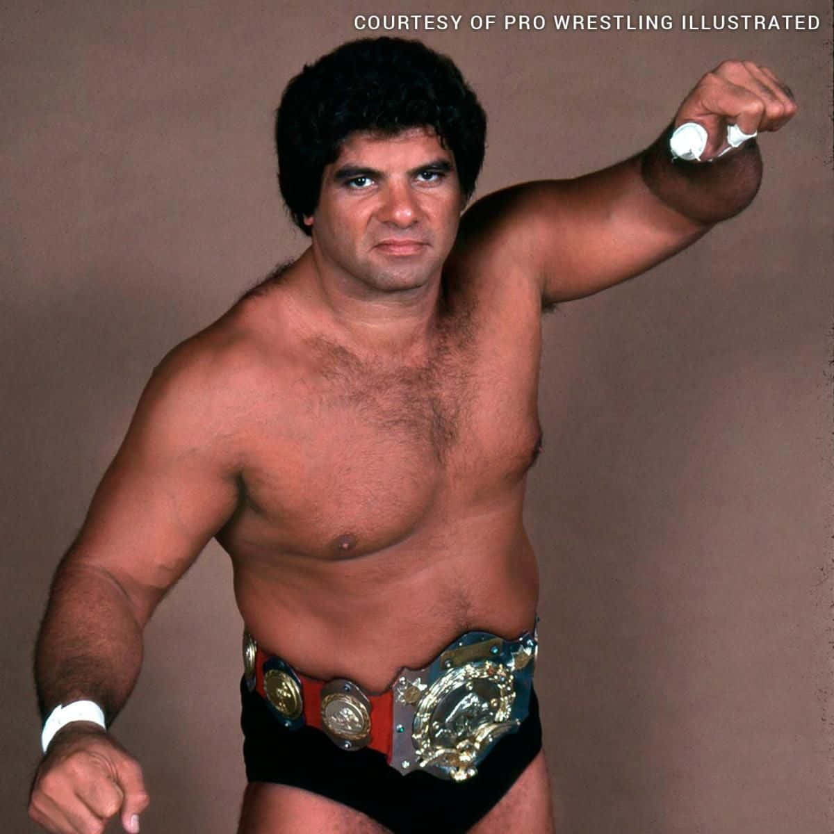 Don Muraco, black trunks, championship belt, SD Desktop Wallpaper