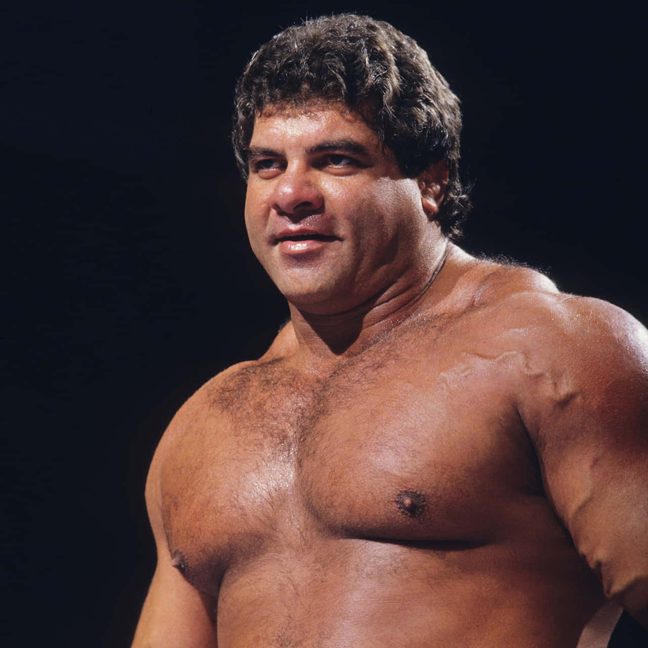 Don Muraco, curly hair, muscular, HD Desktop Wallpaper