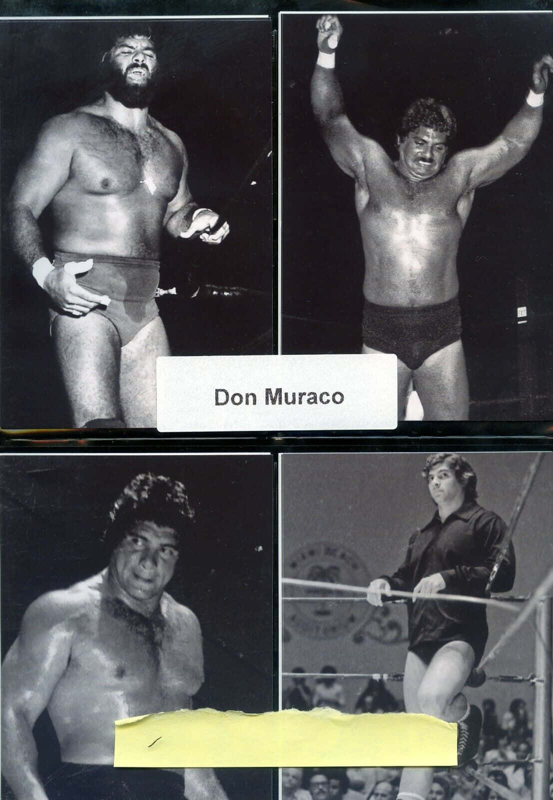 Don Muraco, black and white, wrestler, HD Phone Wallpaper