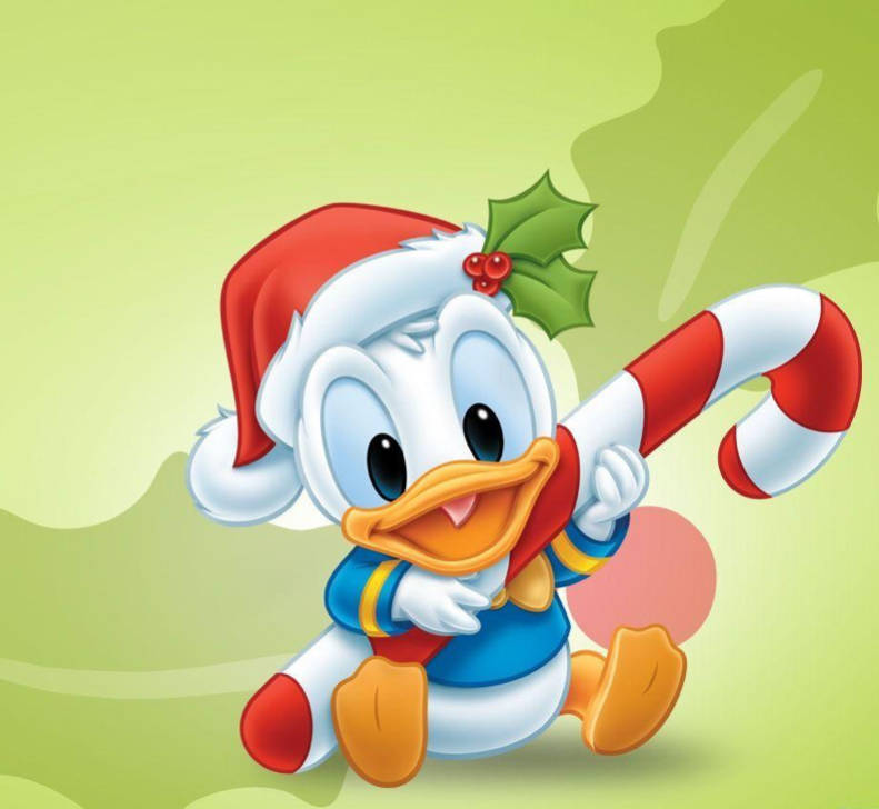 Donald Duck, red Santa hat, holly, SD Desktop Wallpaper