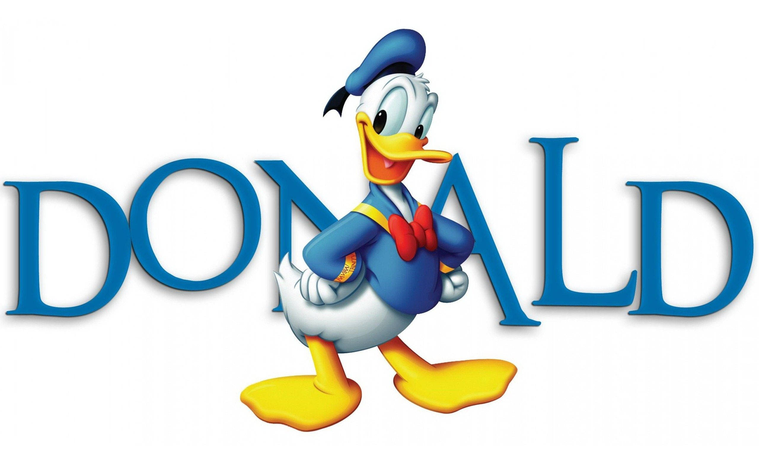 Donald Duck, blue sailor suit, bold blue letters, 2K Desktop Wallpaper
