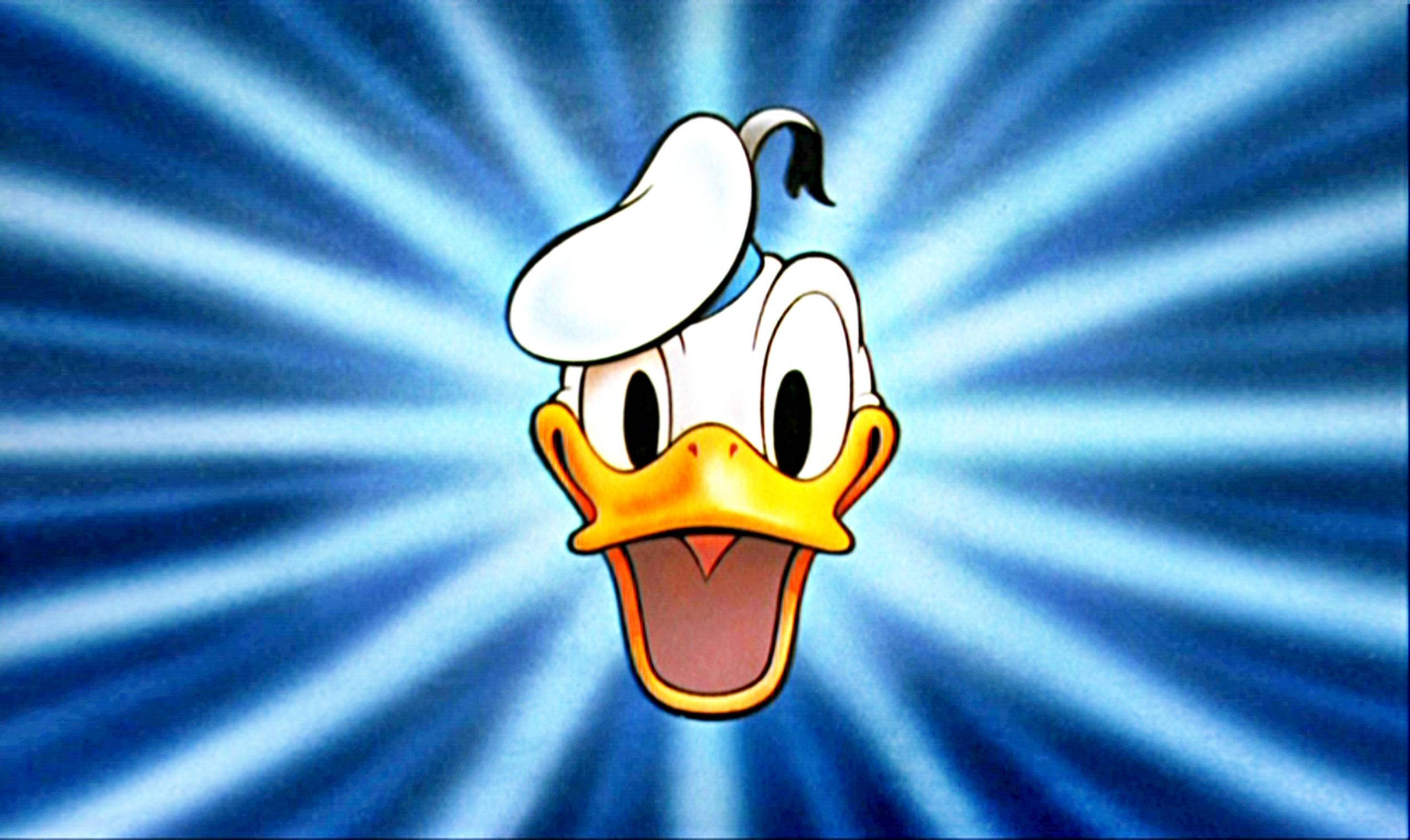 Donald Duck, vibrant blue radial burst background, 2K Desktop Wallpaper